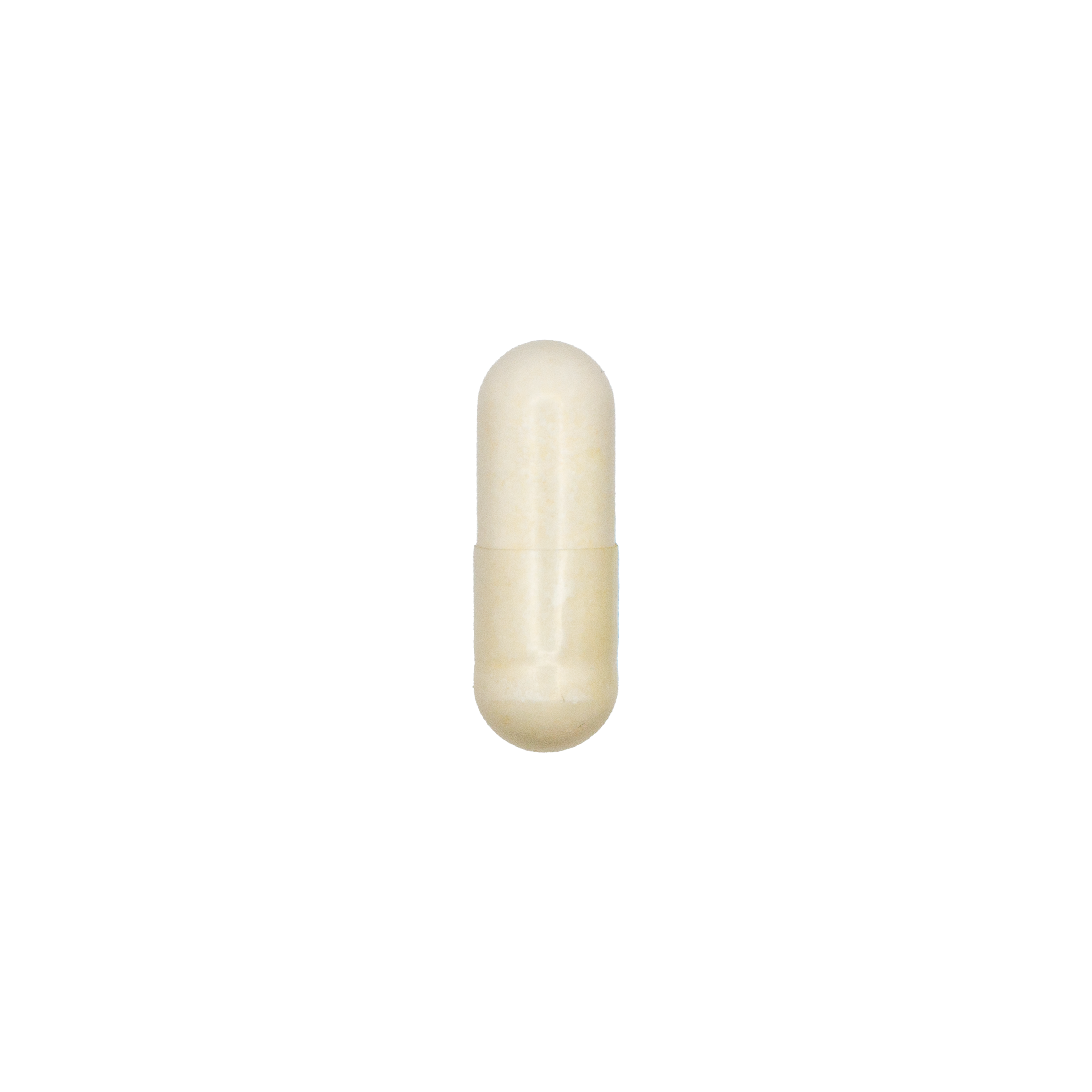 Bifido Plus Probiotic 10 Billion CFU, 8 Strains