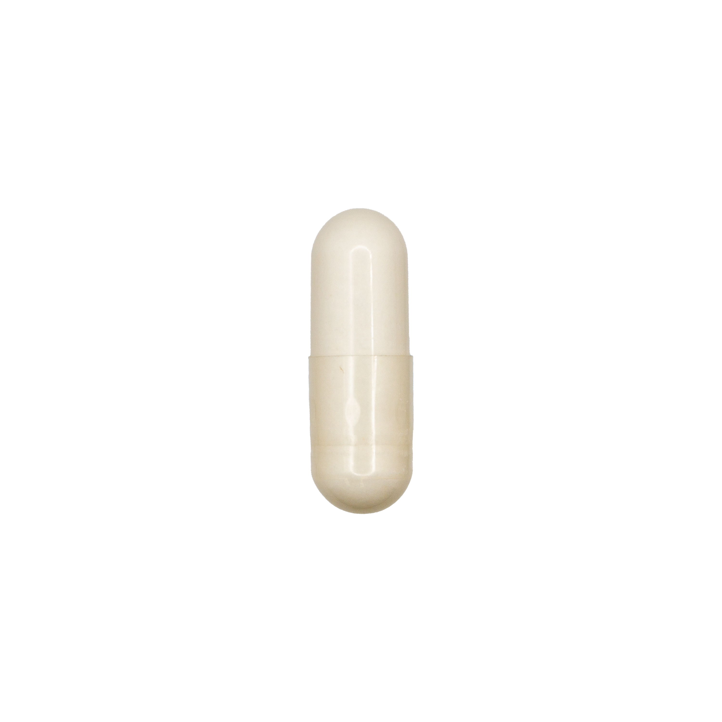 GI Mend