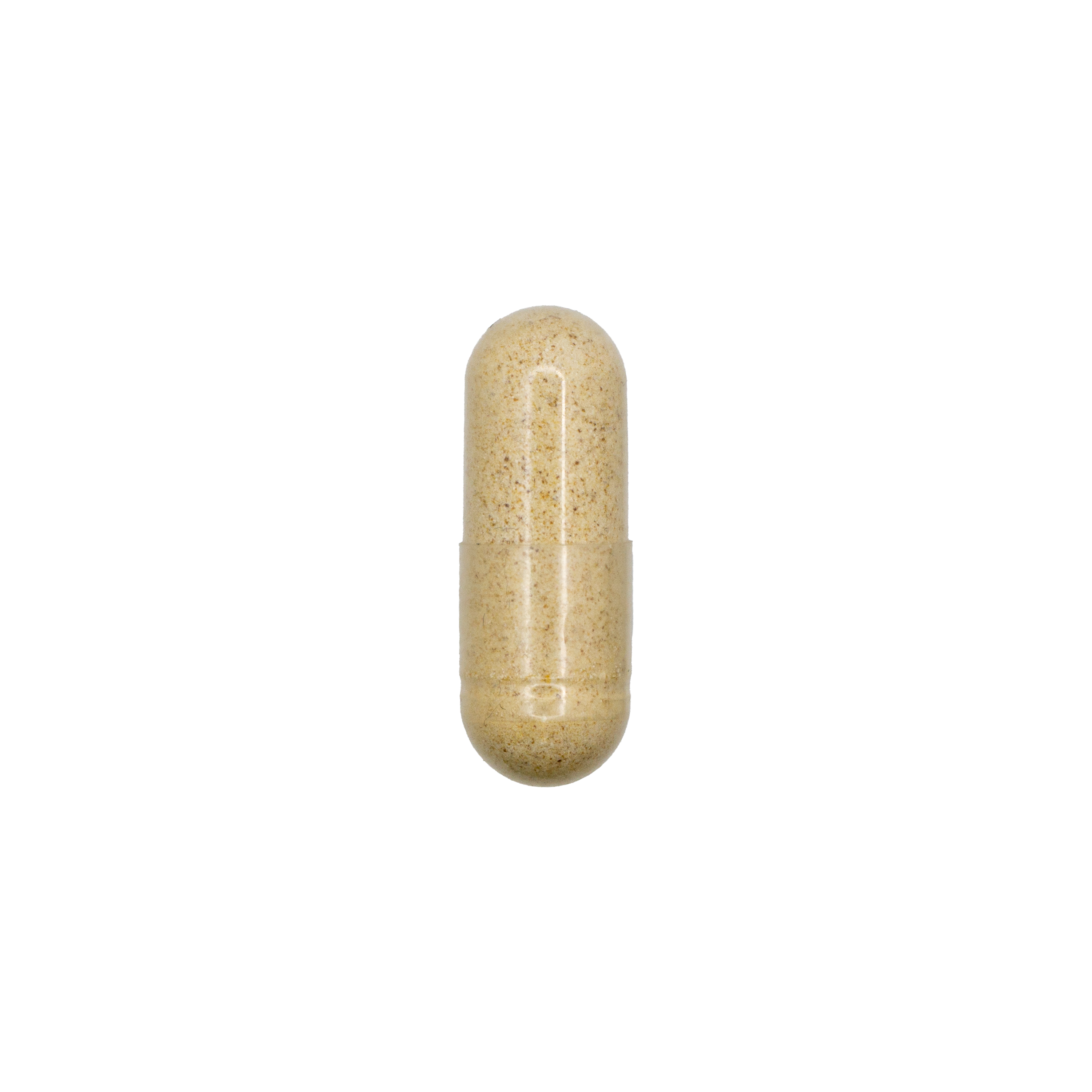 Digestive Enzymes + HCL