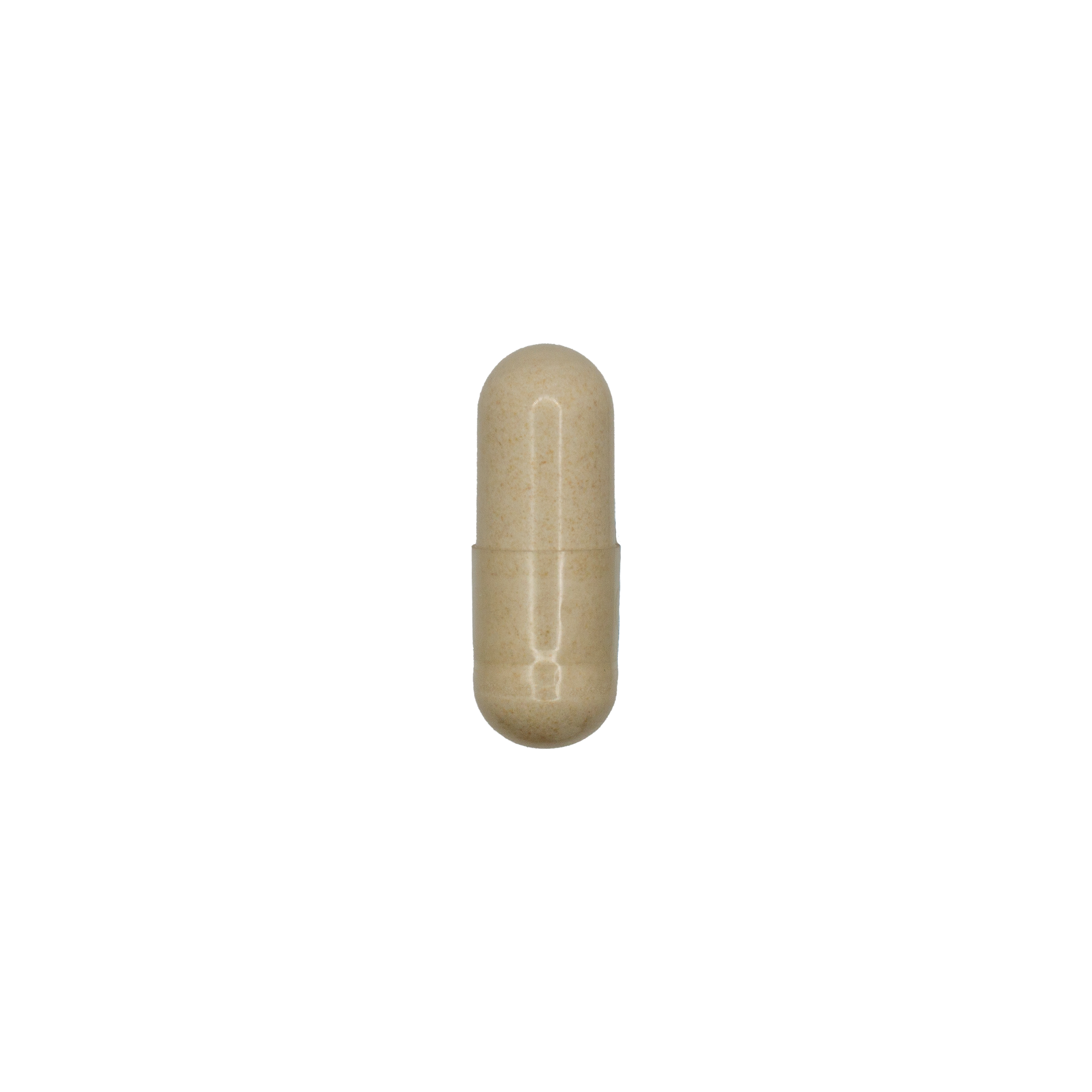 Digestive Enzymes