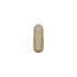 Digestive Enzymes