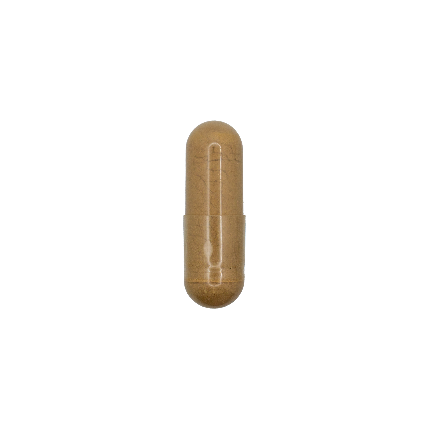 Slippery Elm
