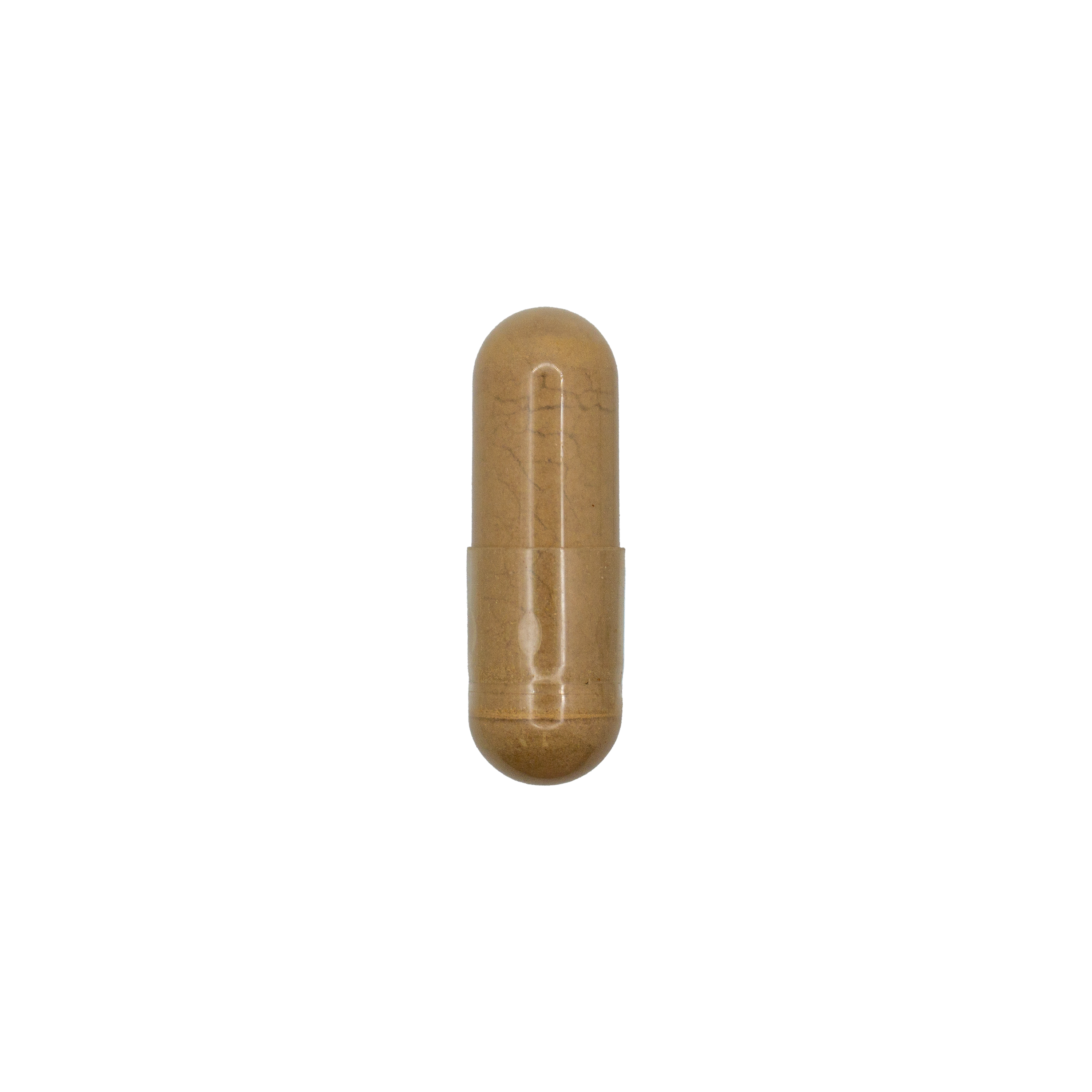 Slippery Elm