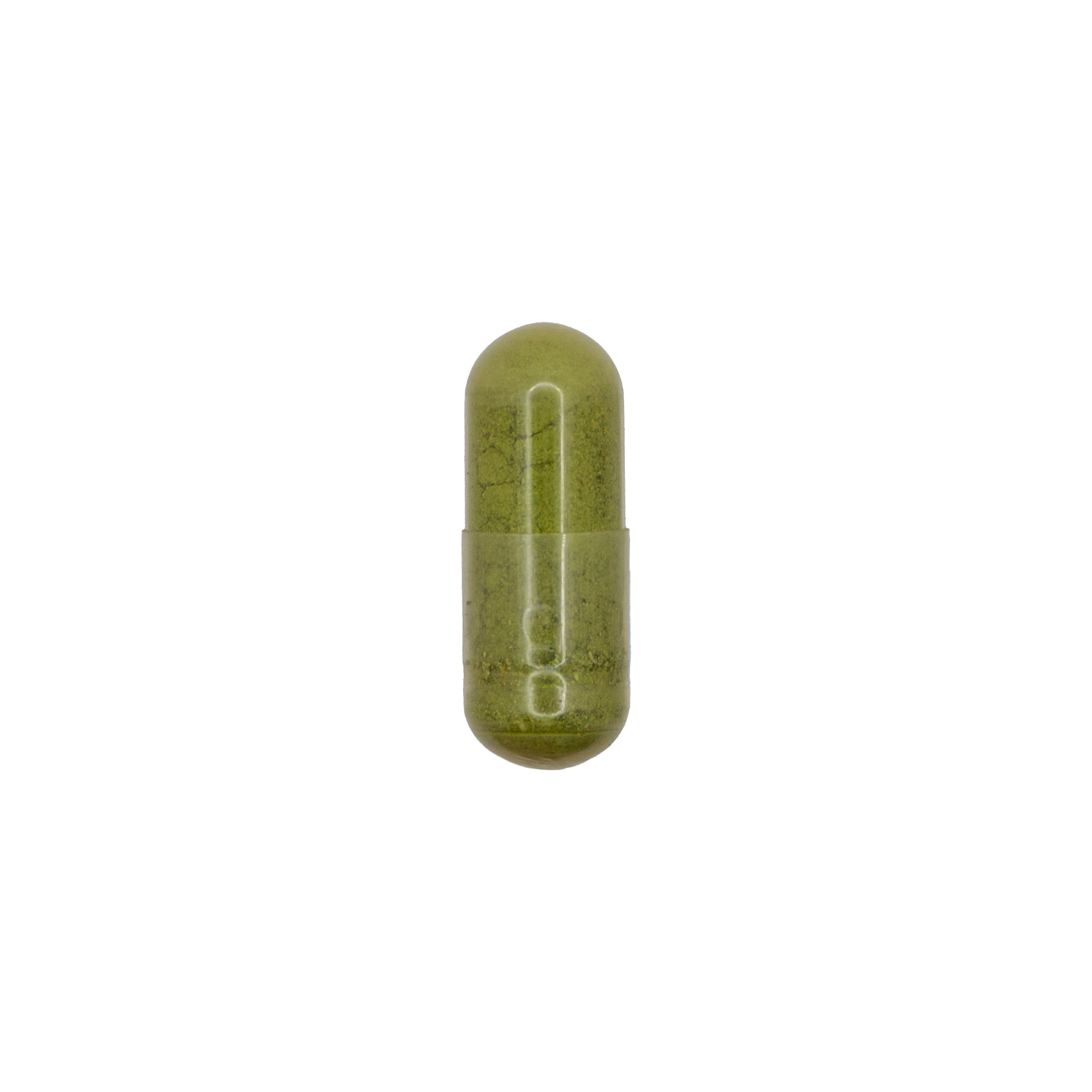 Moringa
