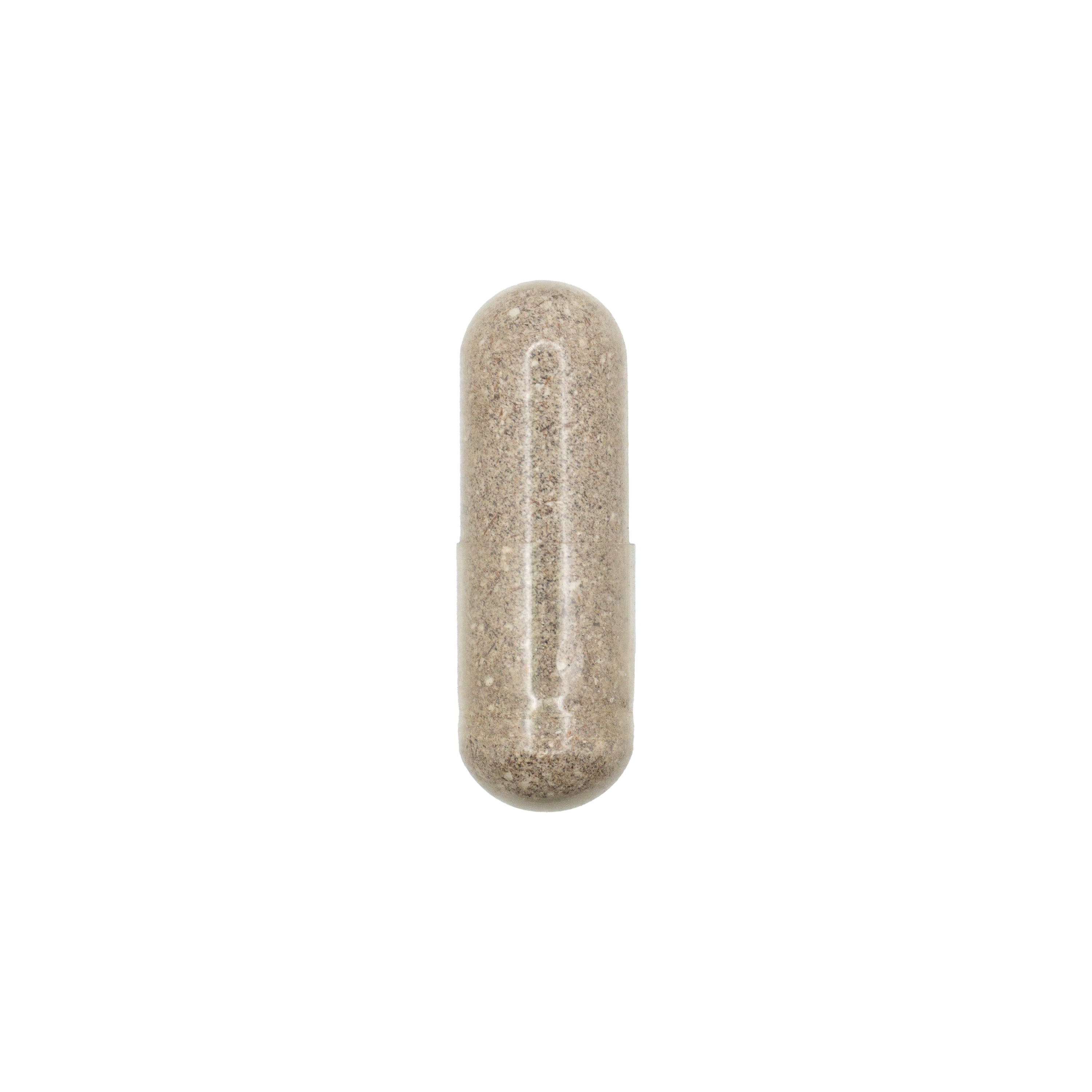 Candida Support