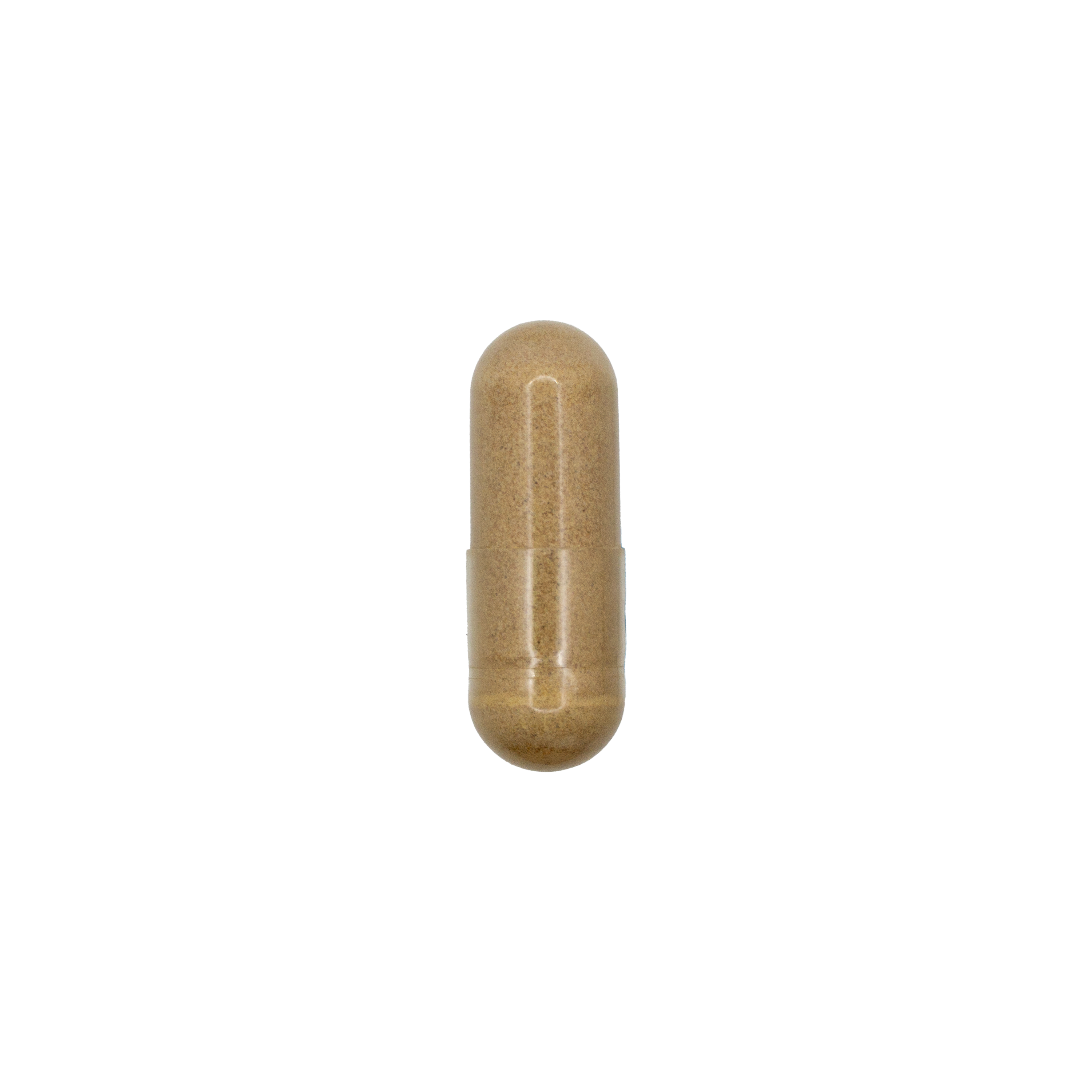 Andrographis + Licorice Root