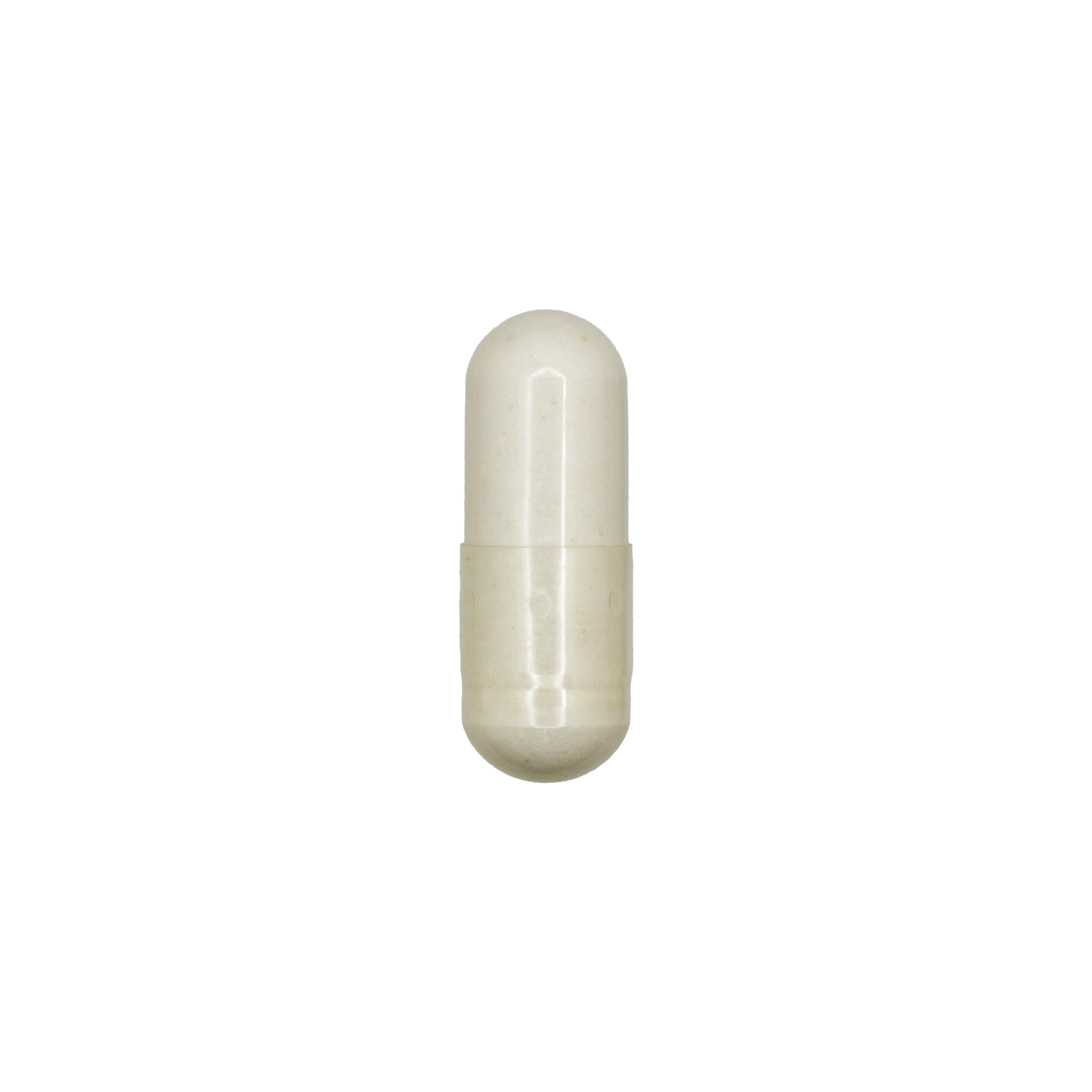 TUDCA