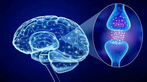 Unlocking Serotonin: Is 5-HTP Right for You?