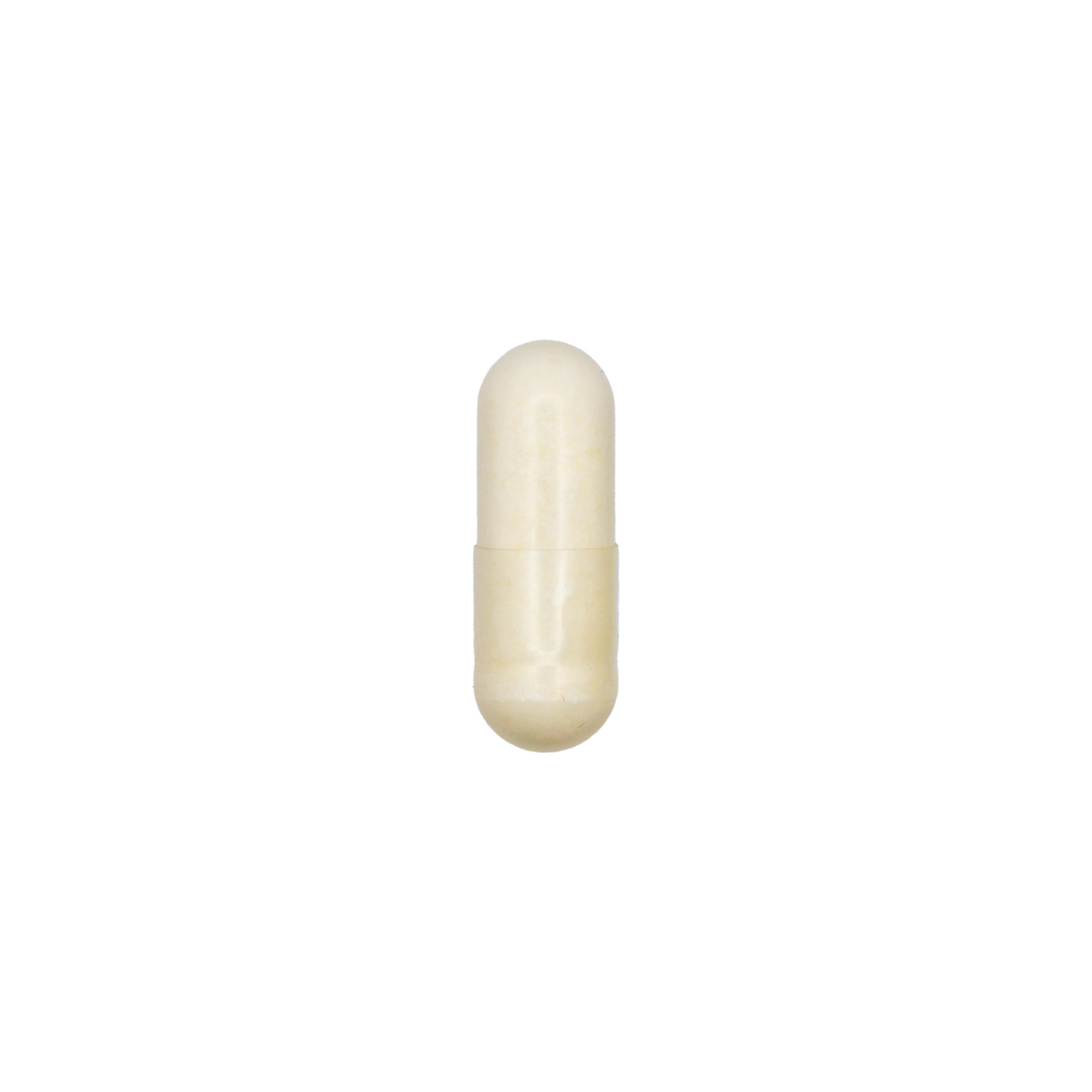 Bifido Plus Probiotic 10 Billion CFU, 8 Strains