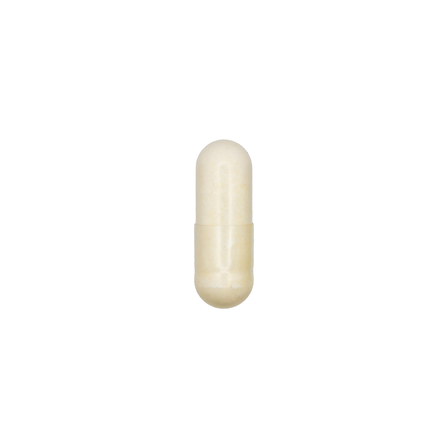 Bifido Plus Probiotic 10 Billion CFU, 8 Strains