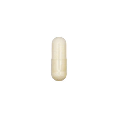 Bifido Plus Probiotic 10 Billion CFU, 8 Strains
