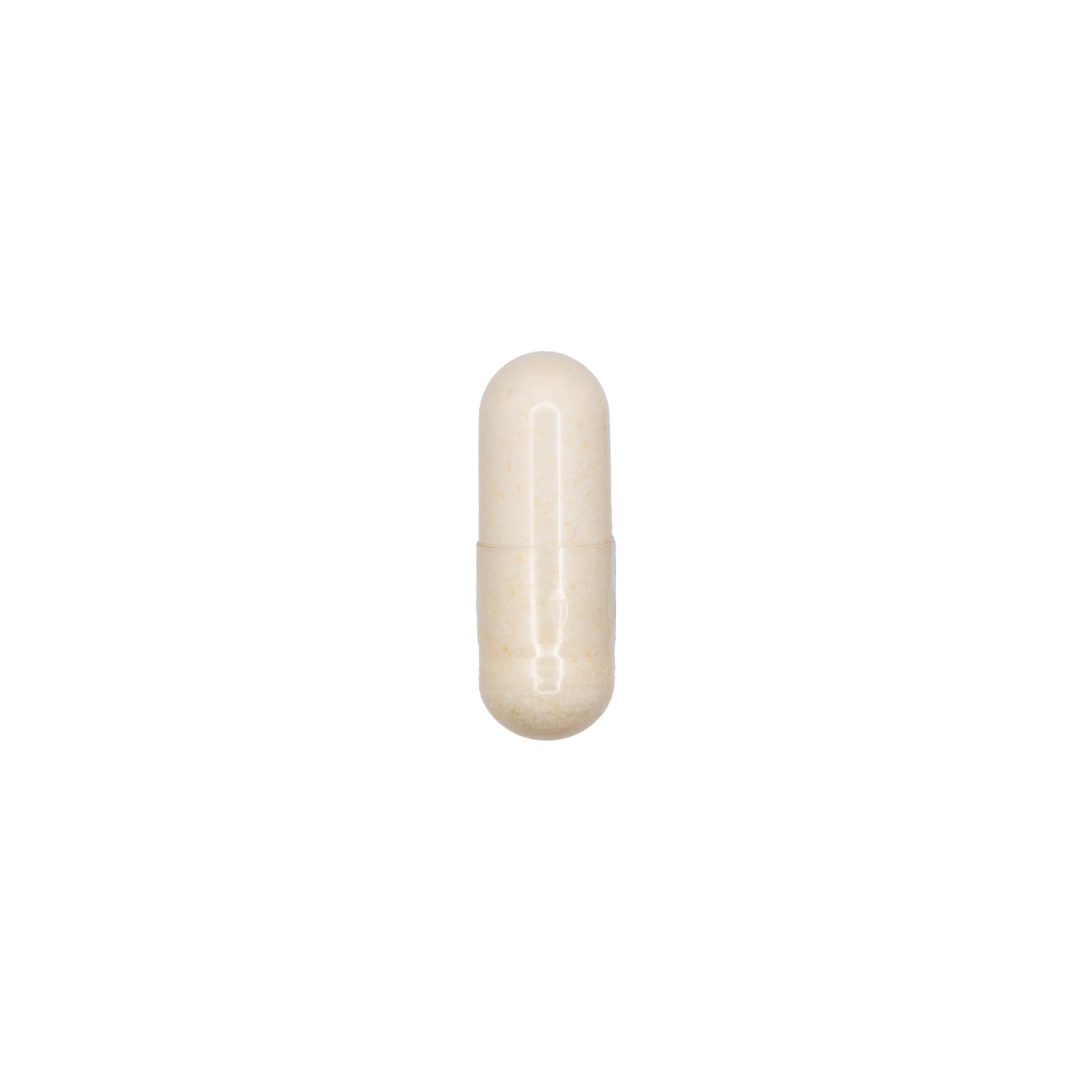 Probiotic 8 Billion CFU, 3 Strains