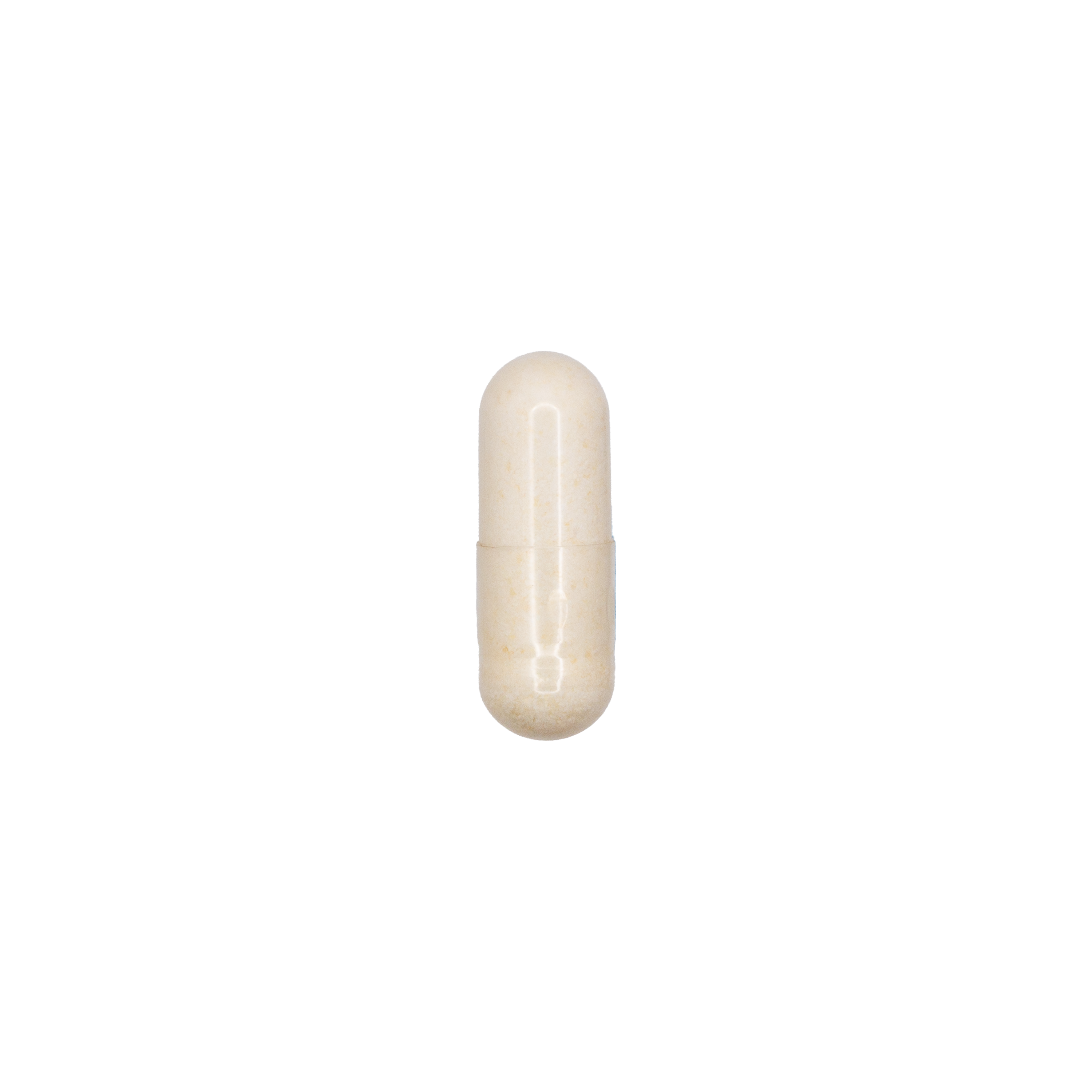 Probiotic 8 Billion CFU, 3 Strains