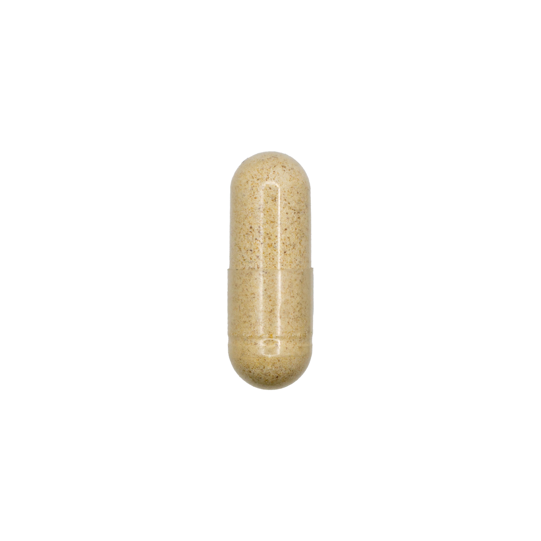 Digestive Enzymes + HCL