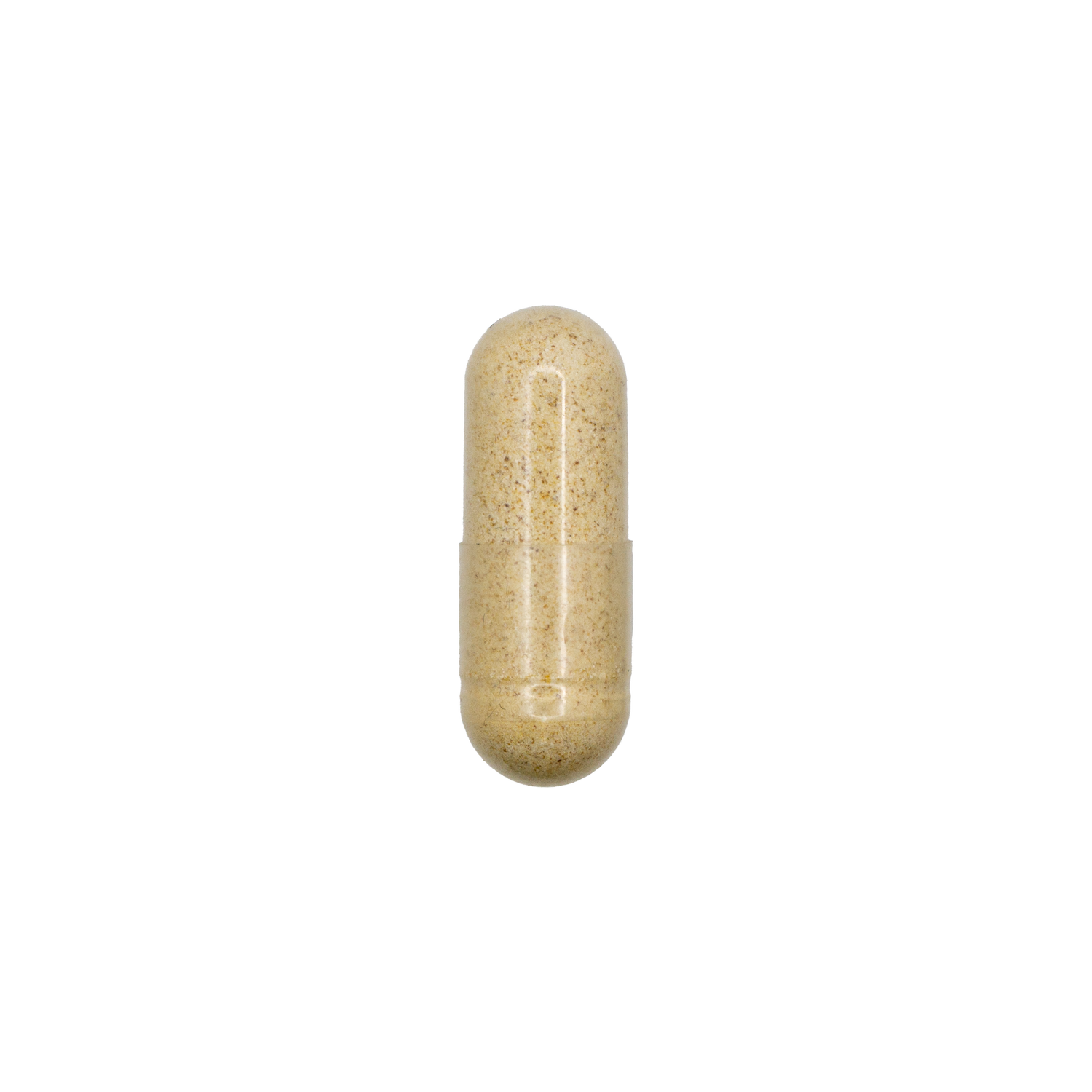 Digestive Enzymes + HCL