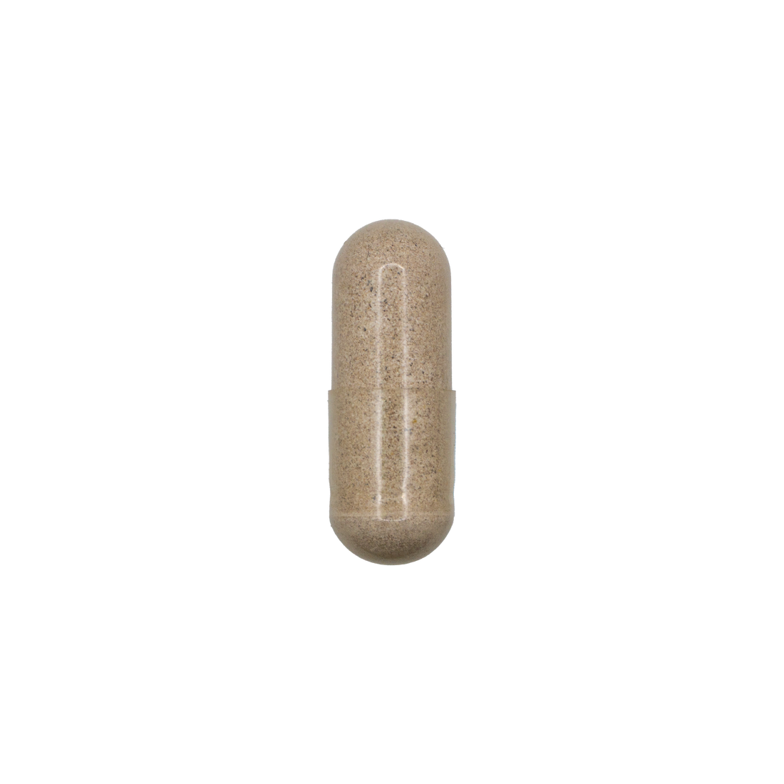 Motility Support