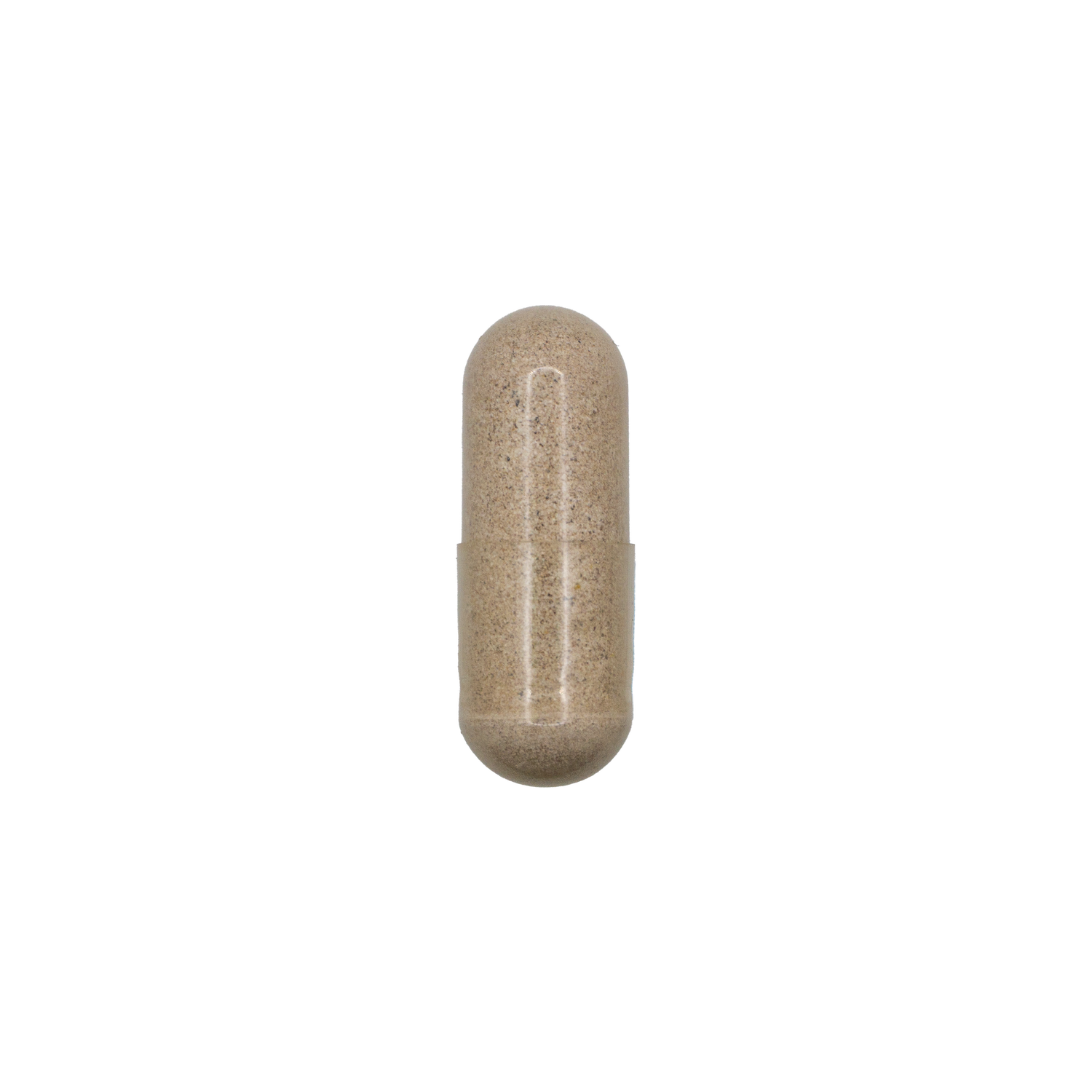 Motility Support