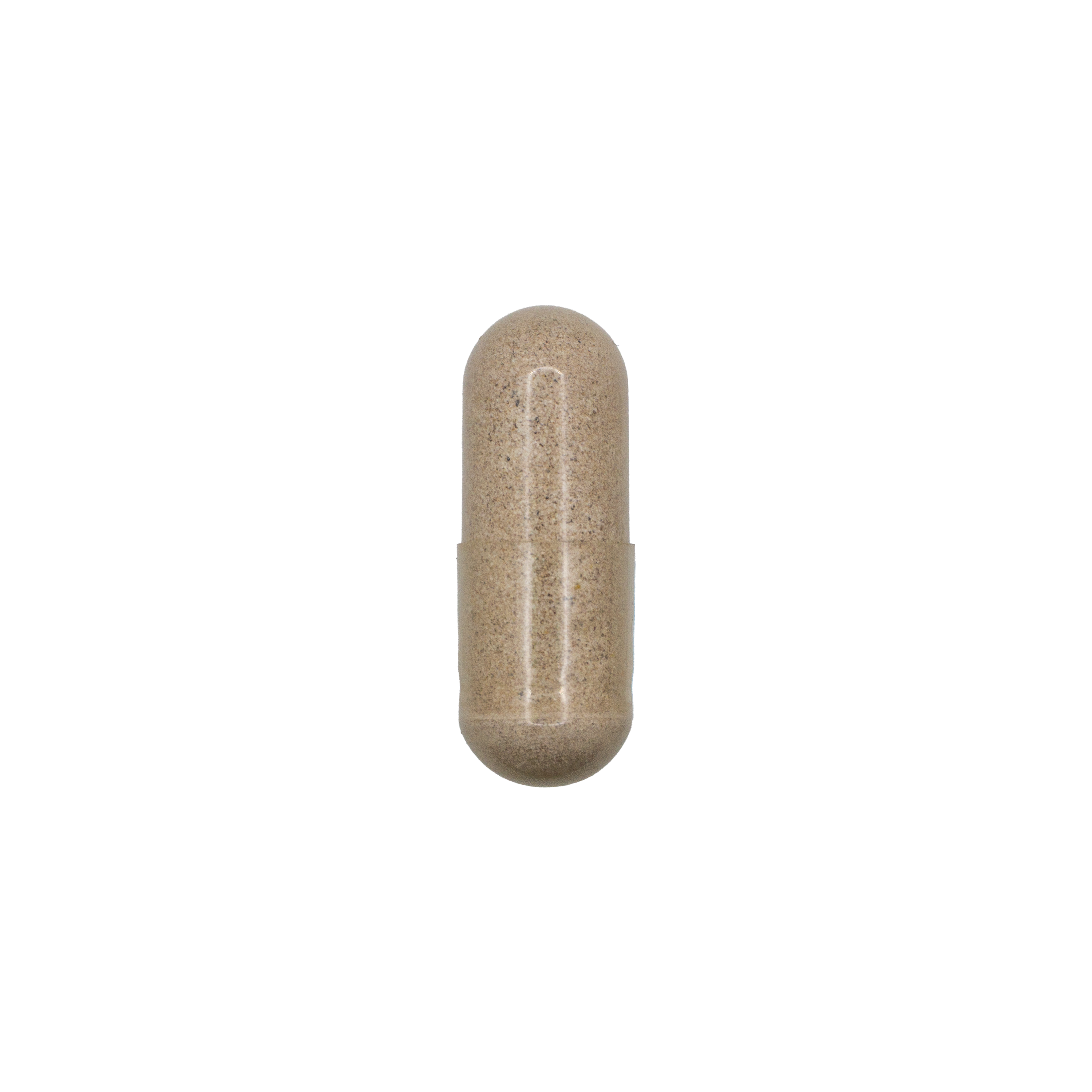 Motility Support