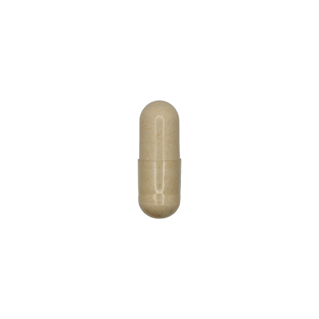 Digestive Enzymes
