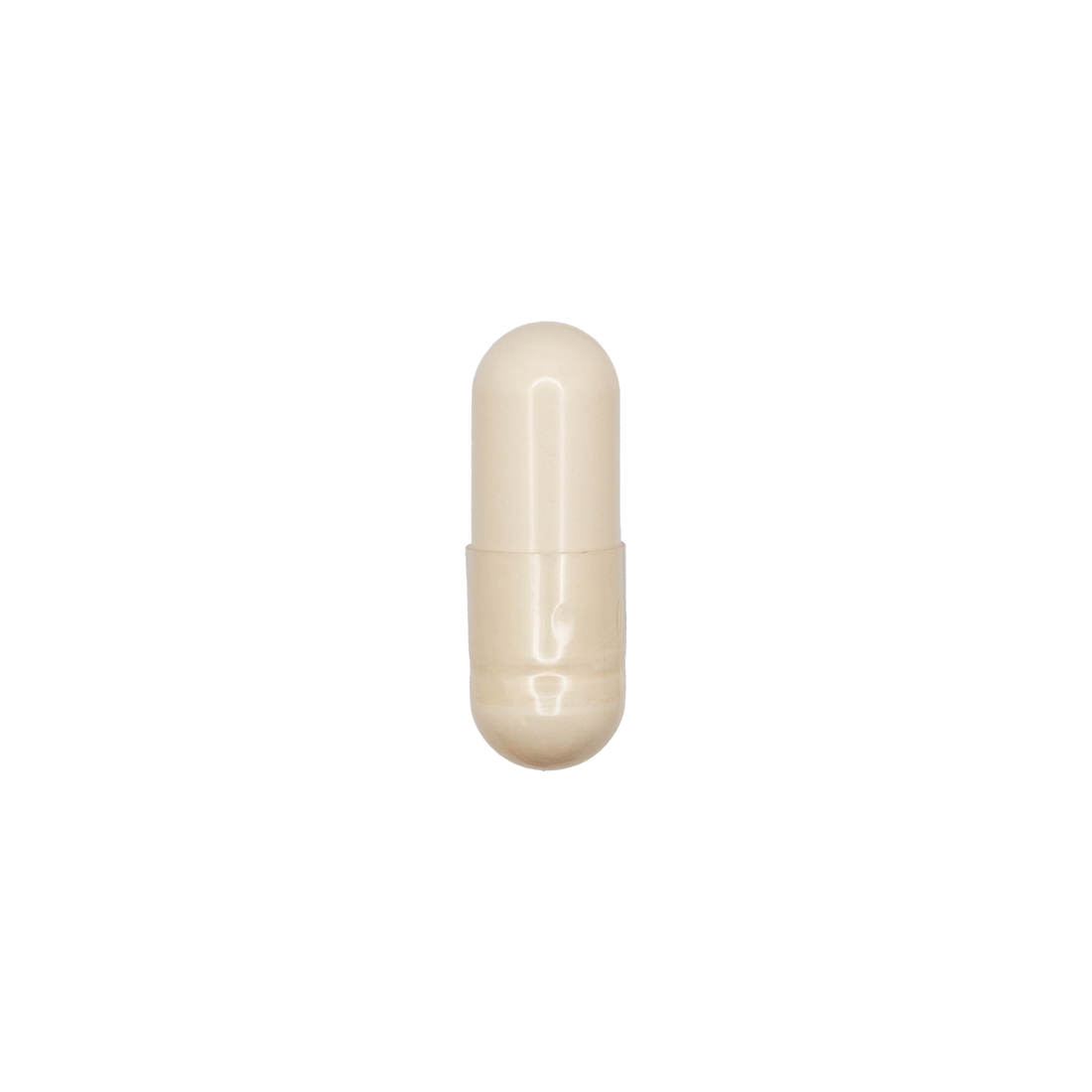 Panax Ginseng