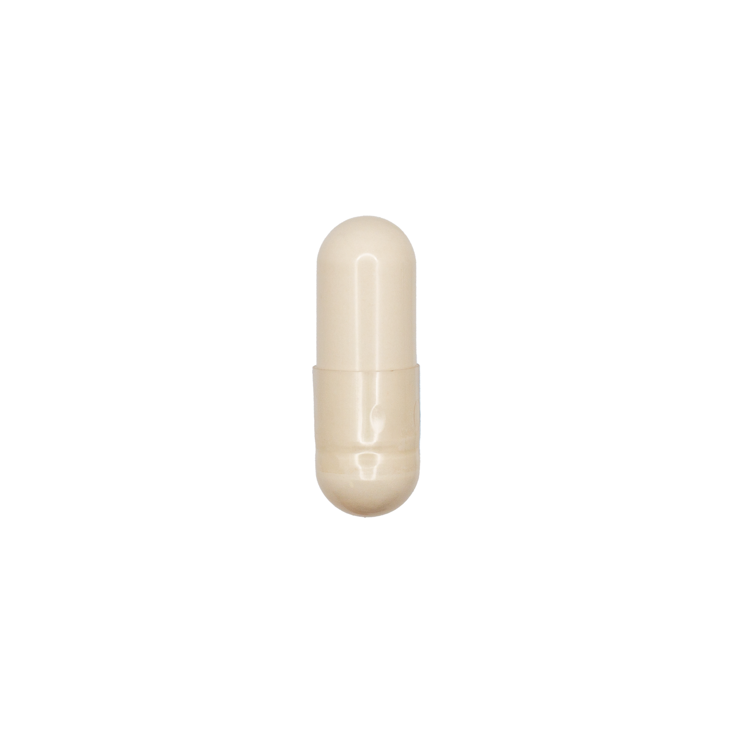 Panax Ginseng