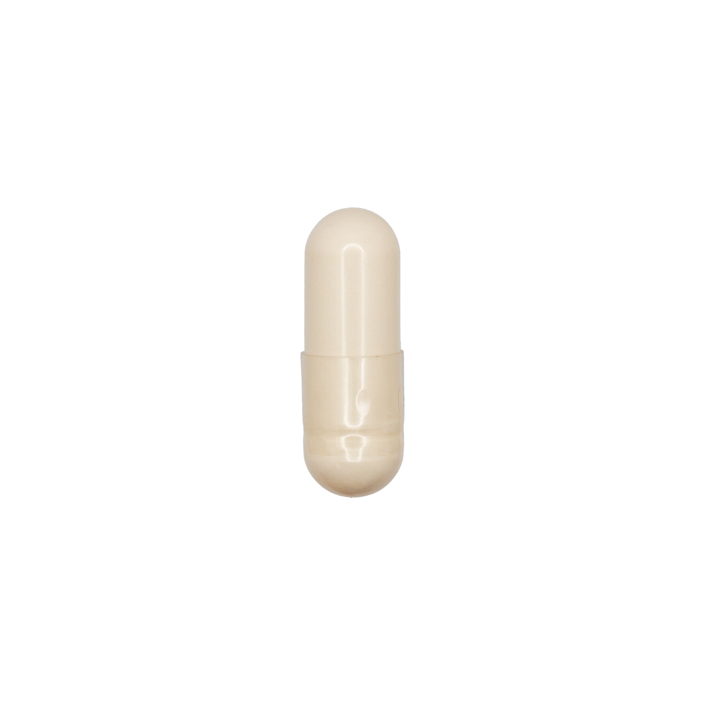 Panax Ginseng