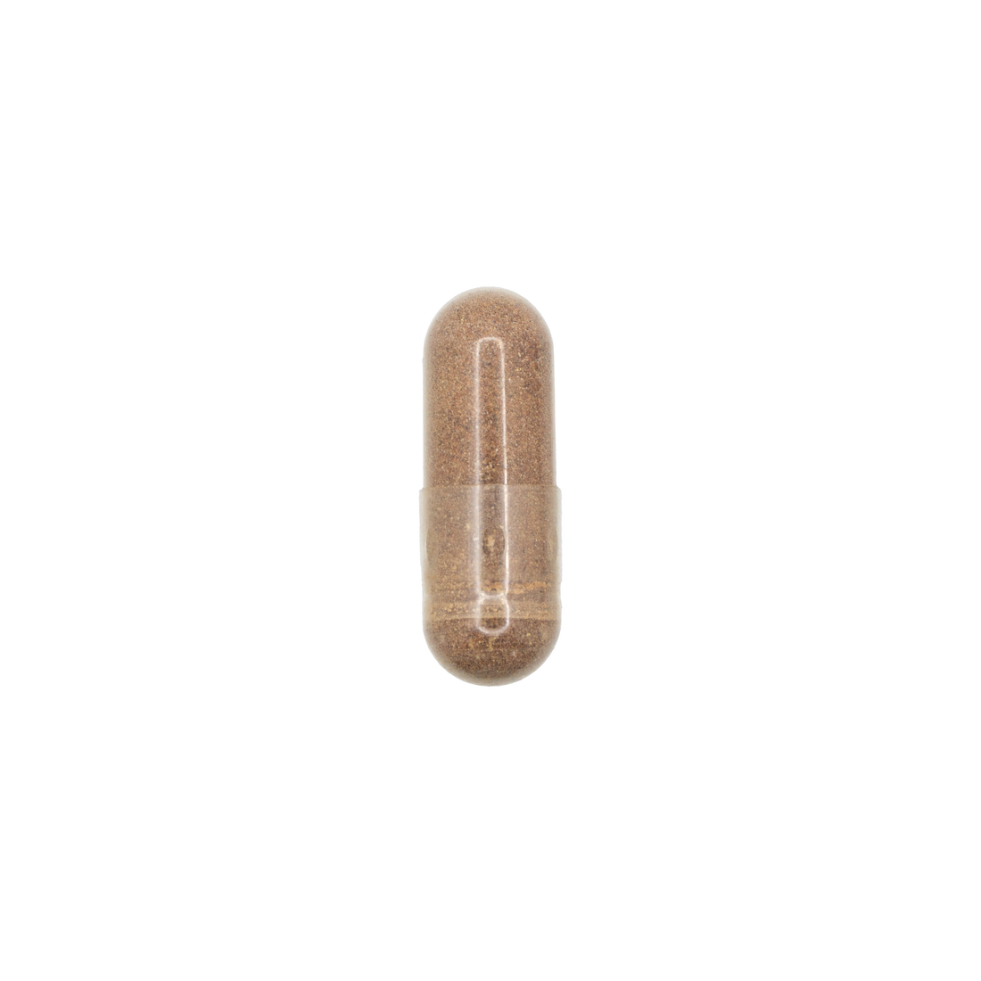 Grape Seed Extract