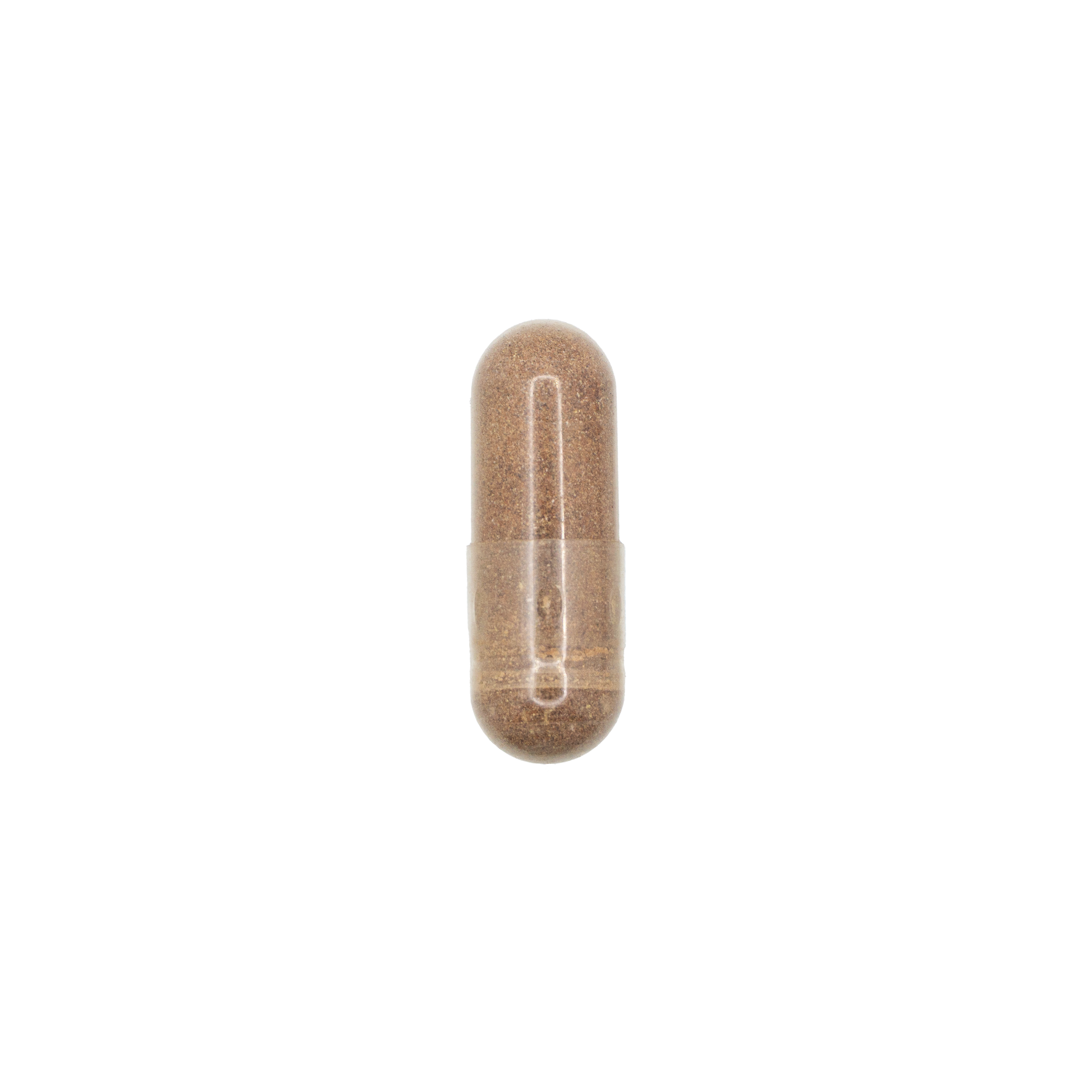 Grape Seed Extract