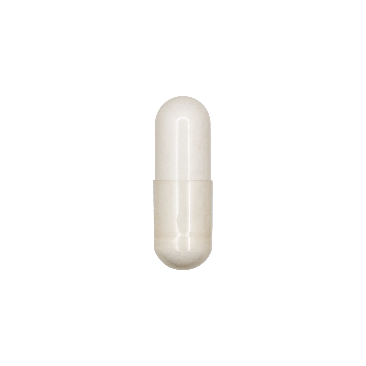 N-Acetyl L-Cysteine