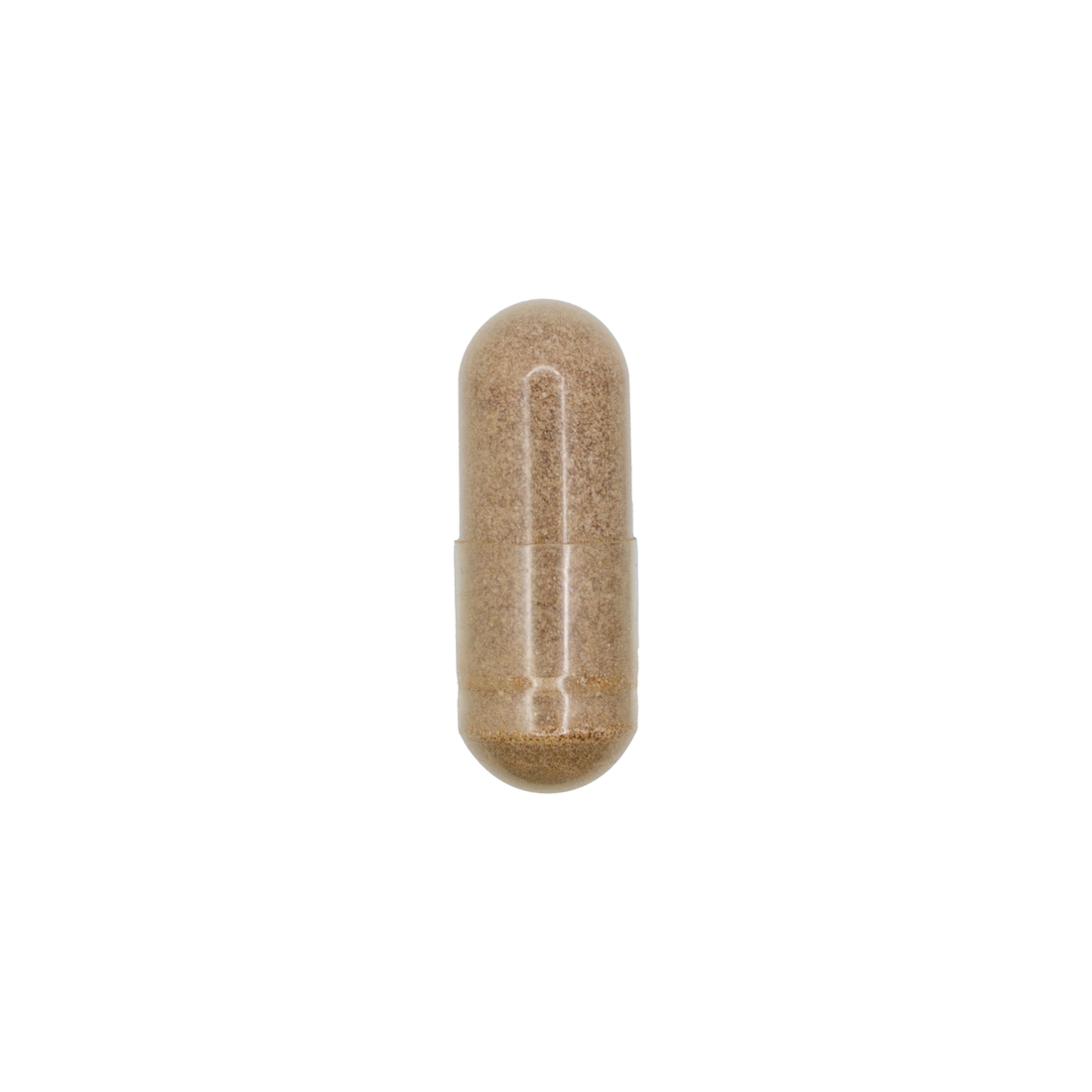Fadogia Argestis