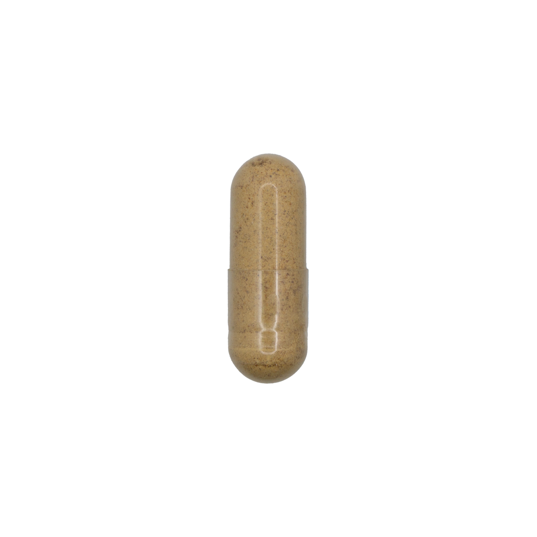 Fenugreek