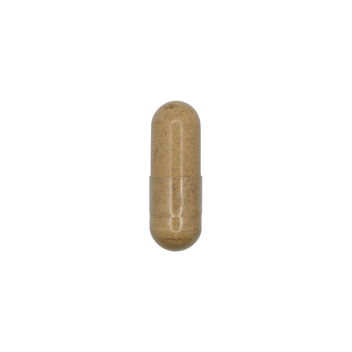Fenugreek