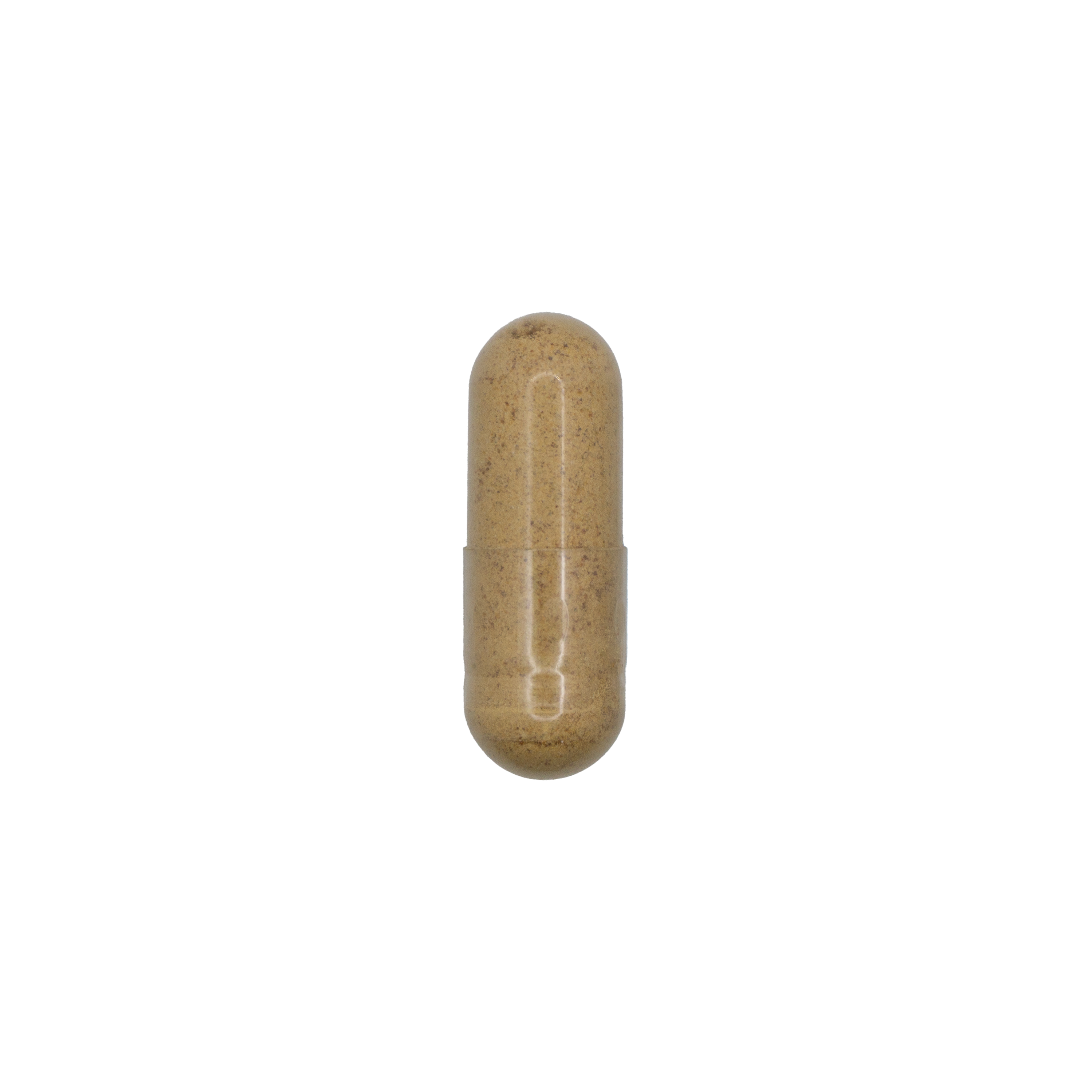 Fenugreek