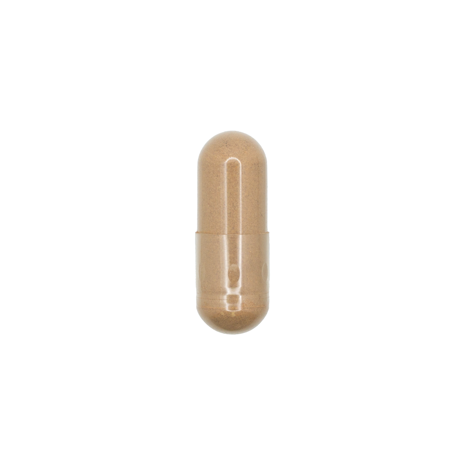 Saw Palmetto