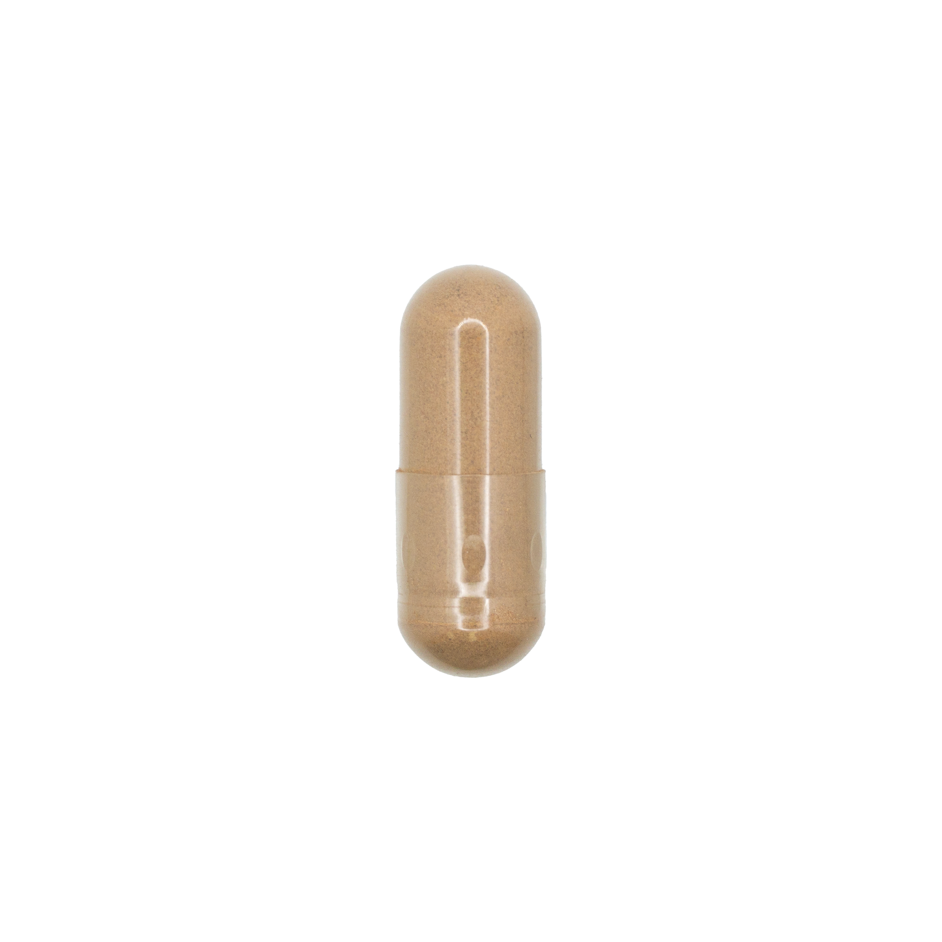 Saw Palmetto