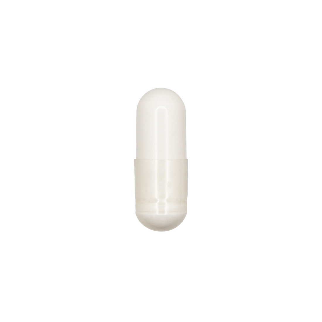 Acetyl L-Carnitine