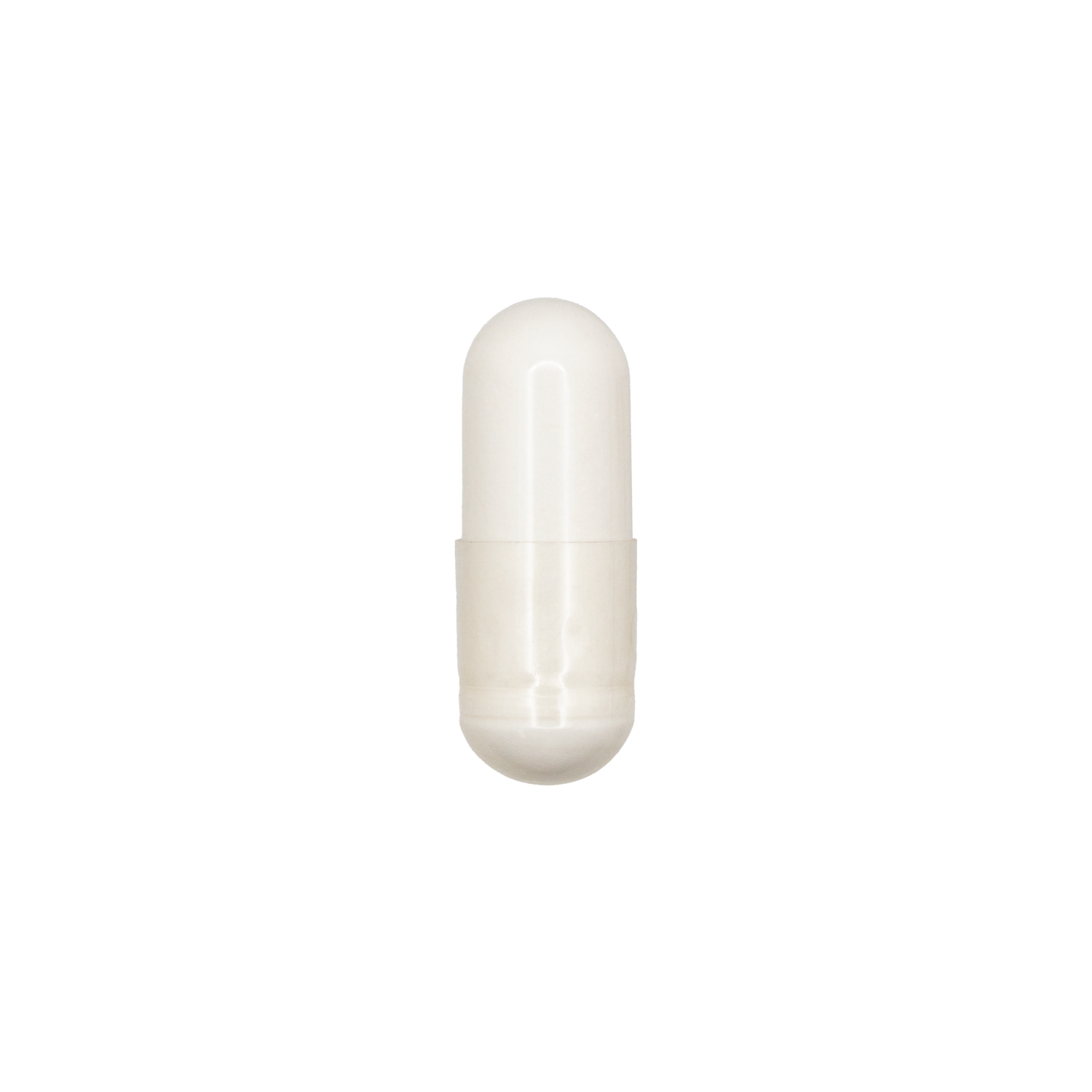 Acetyl L-Carnitine