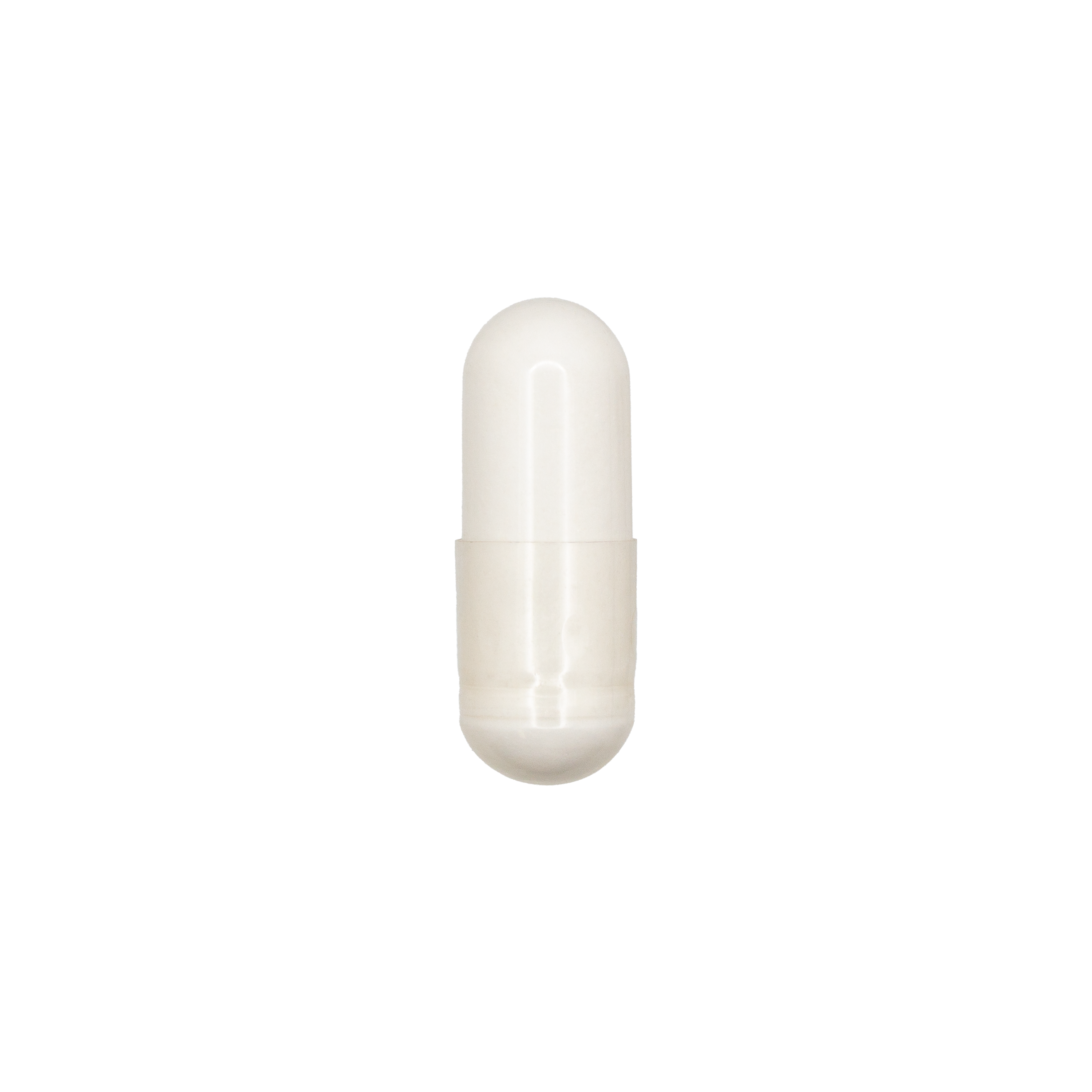 Acetyl L-Carnitine