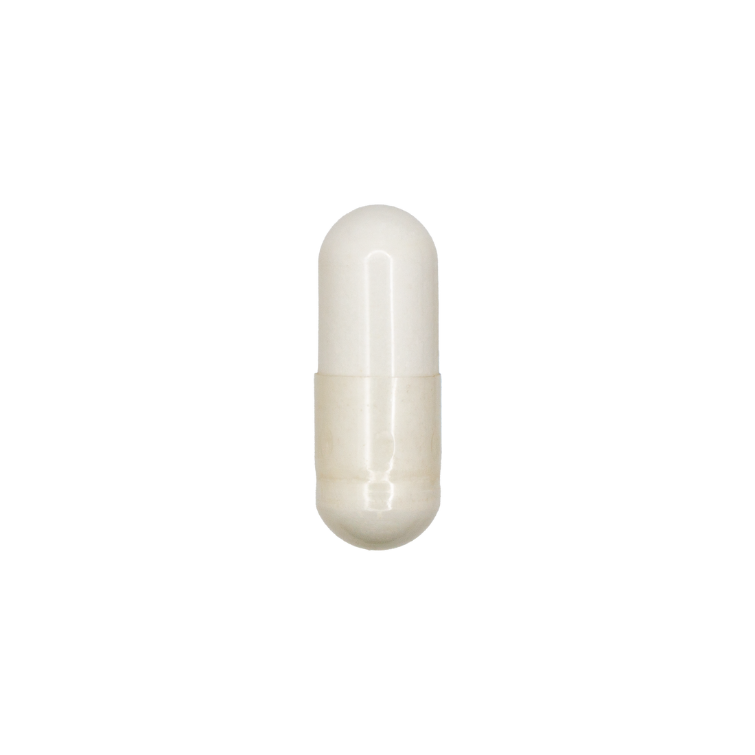 Carnitine
