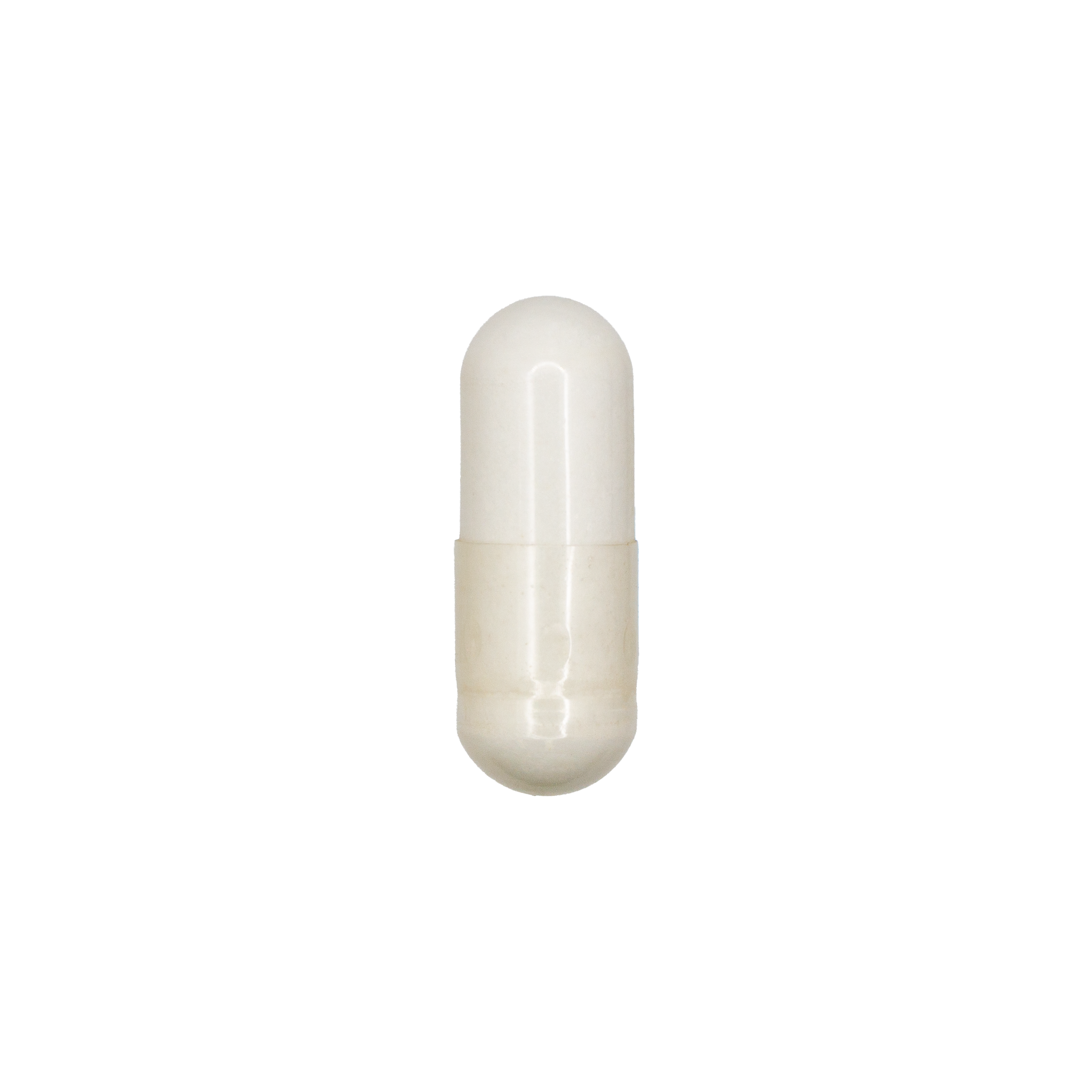 Carnitine
