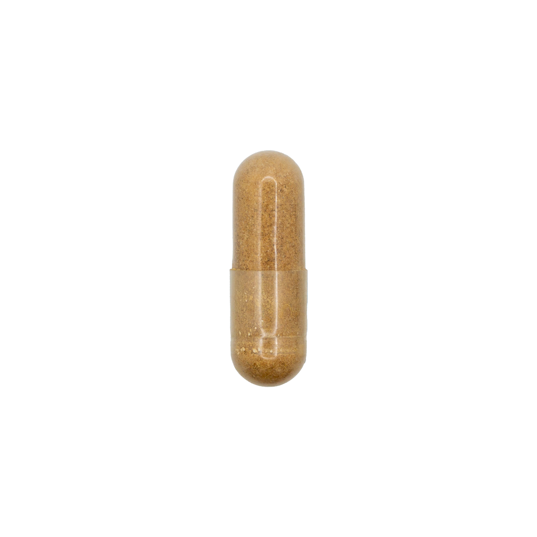 Rhodiola