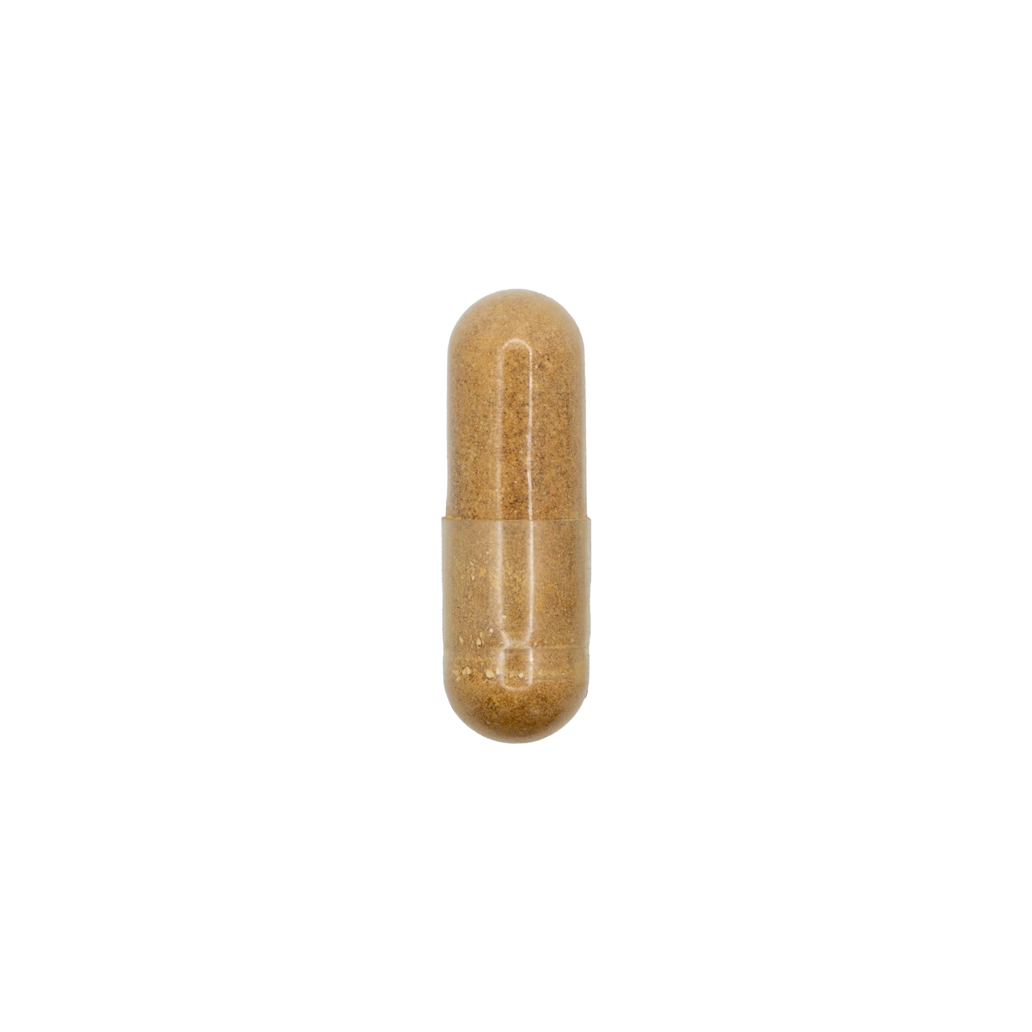 Rhodiola