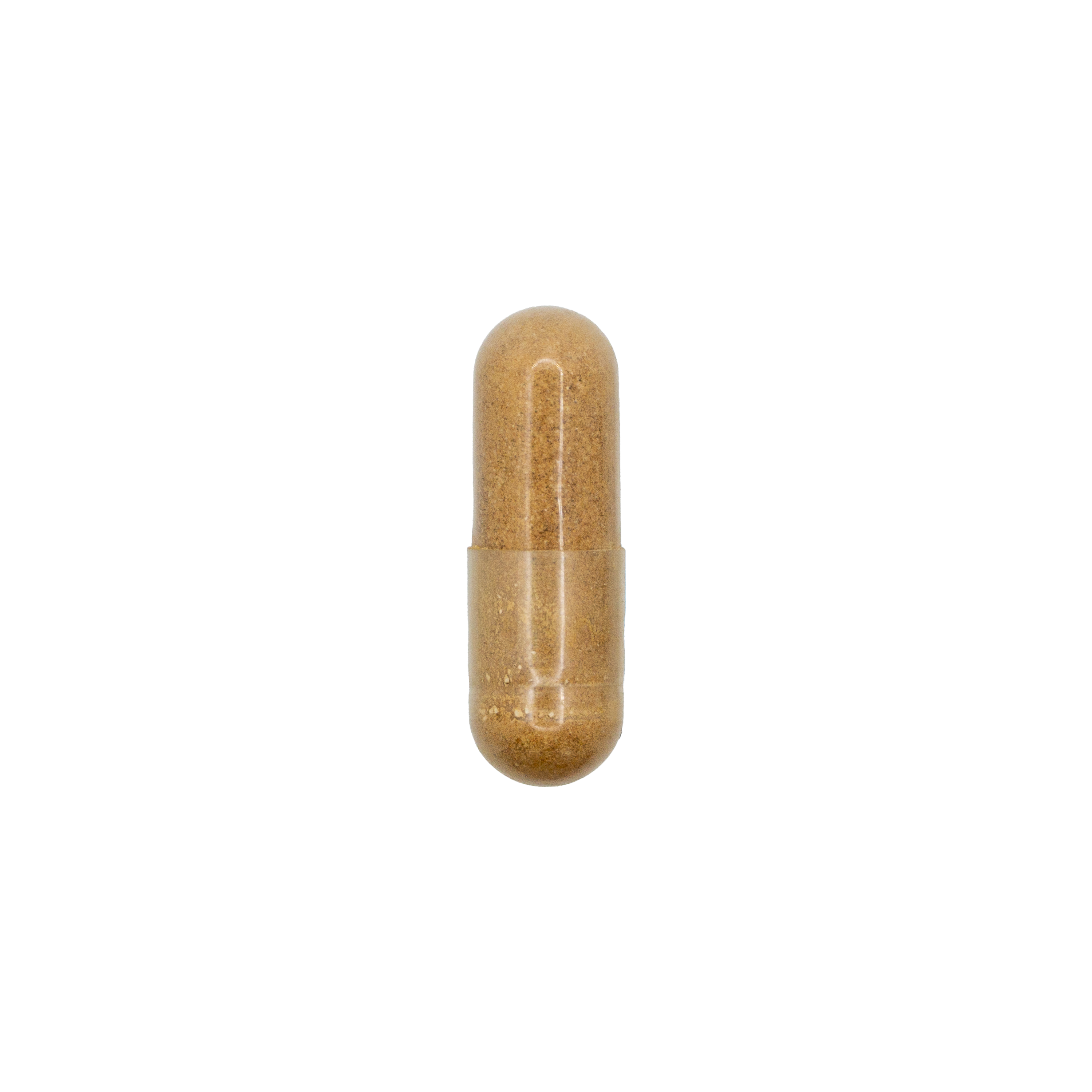 Rhodiola