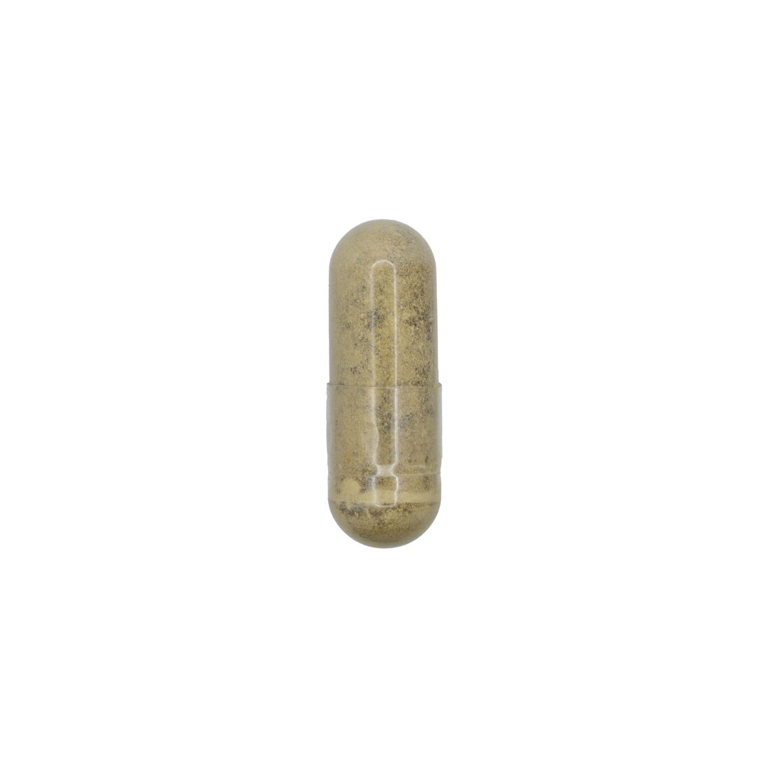 Bacopa