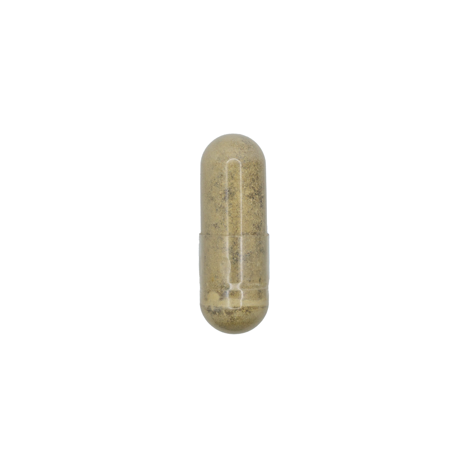 Bacopa