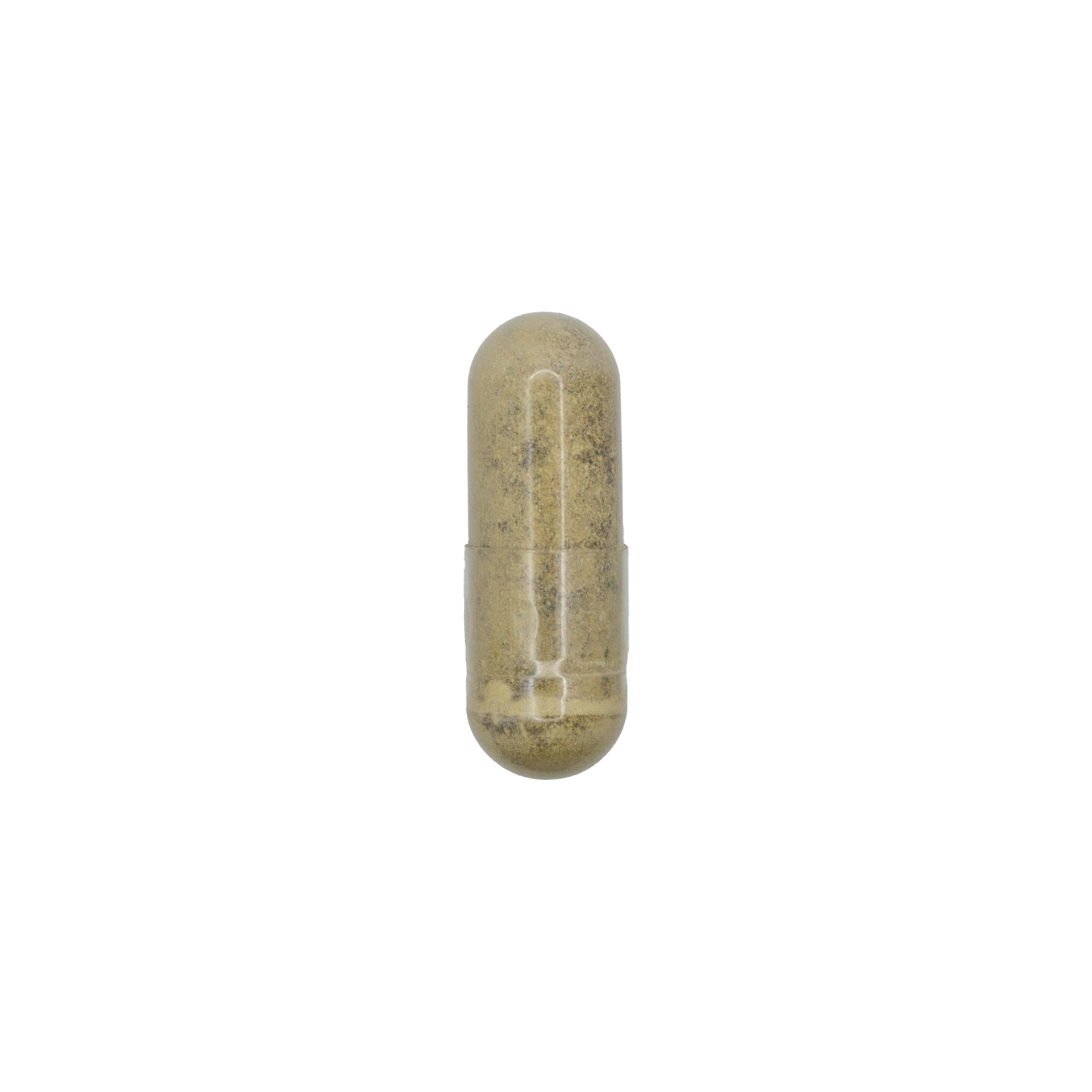 Bacopa