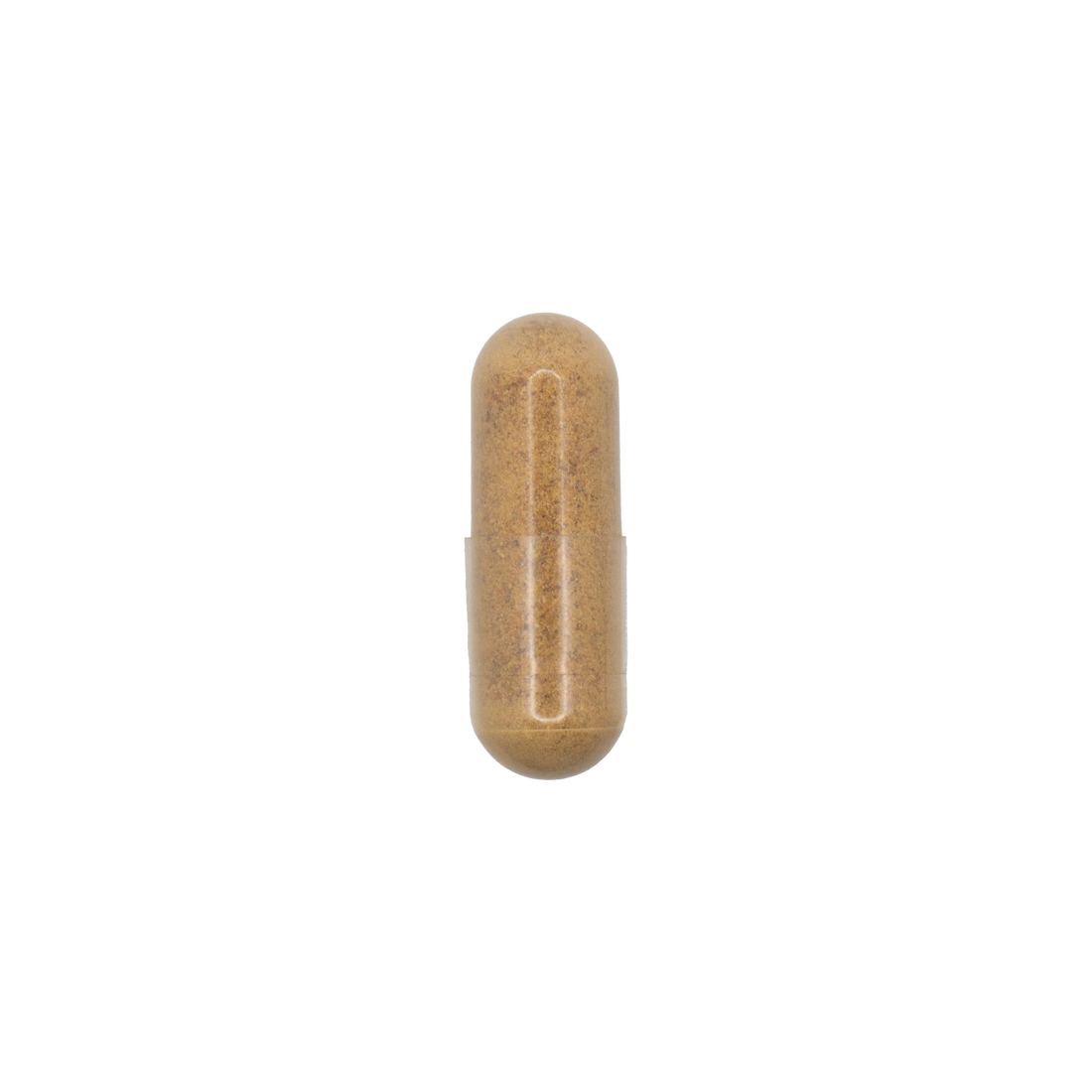 Dandelion Root