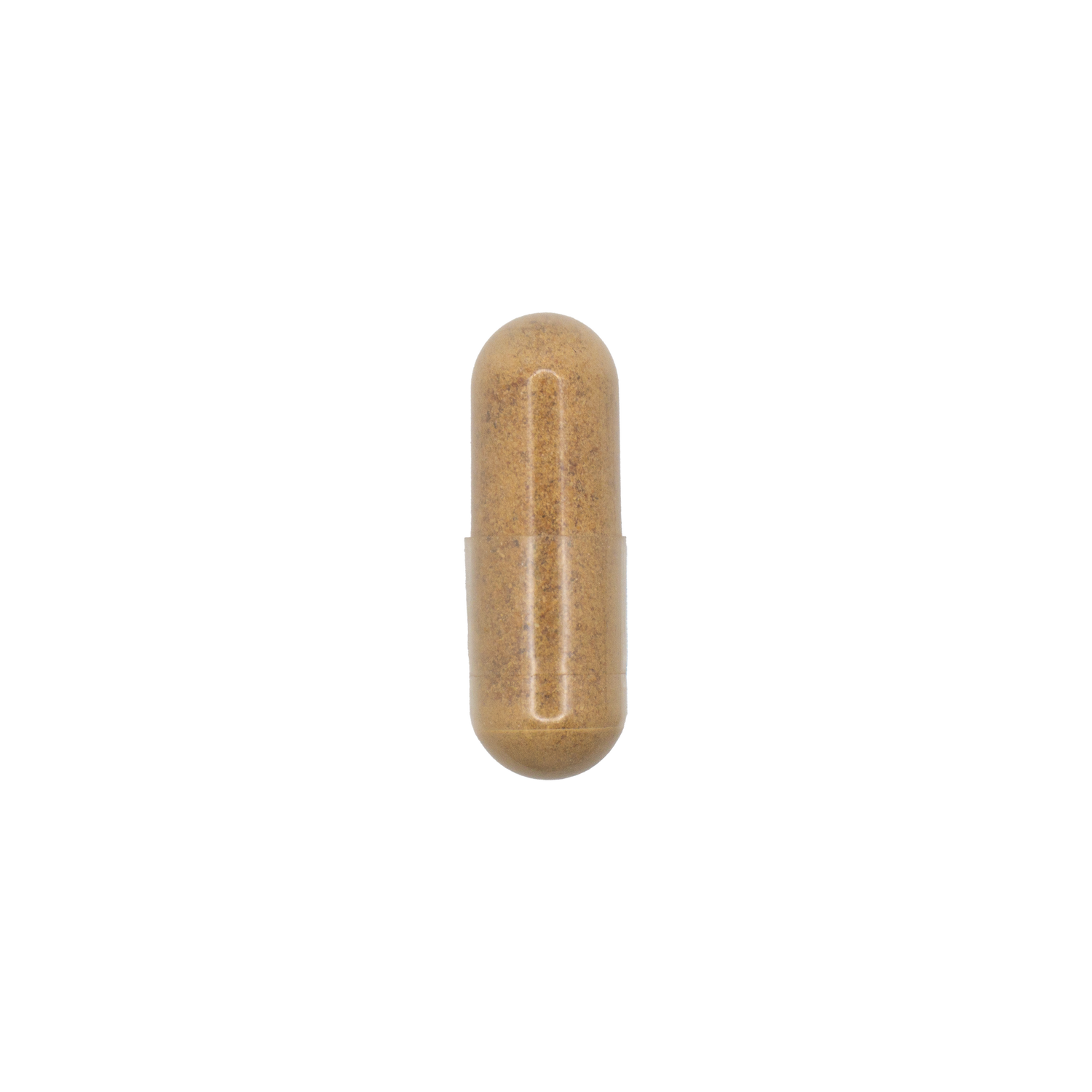 Dandelion Root