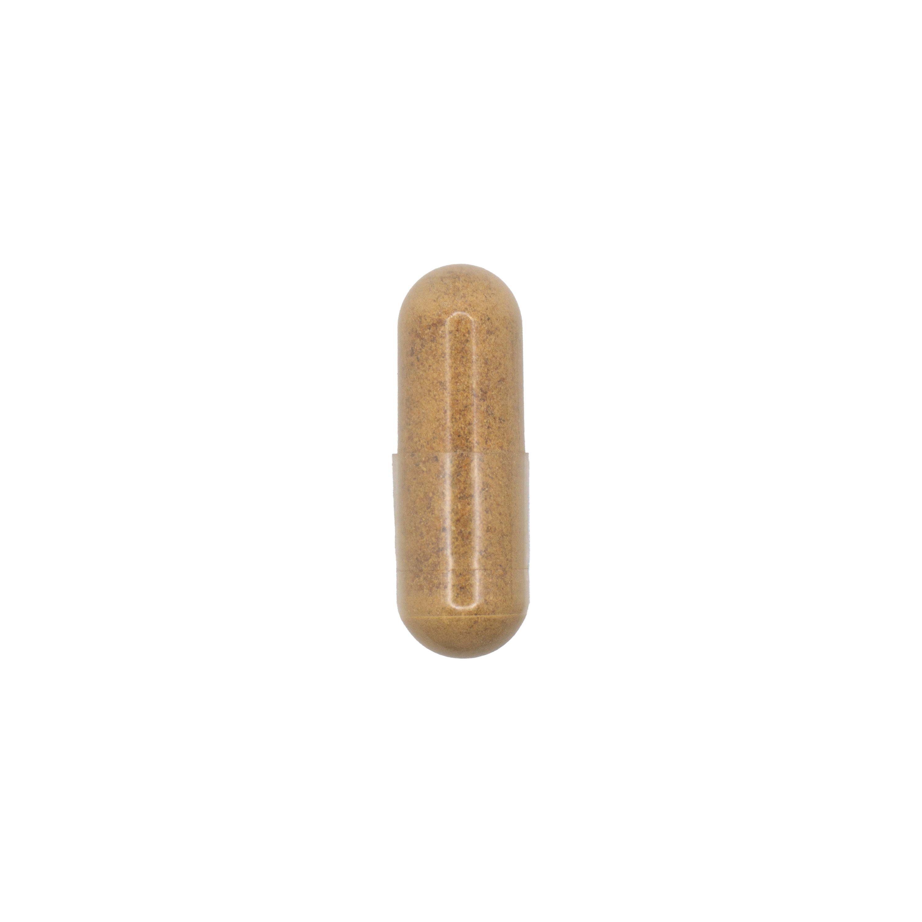 Dandelion Root