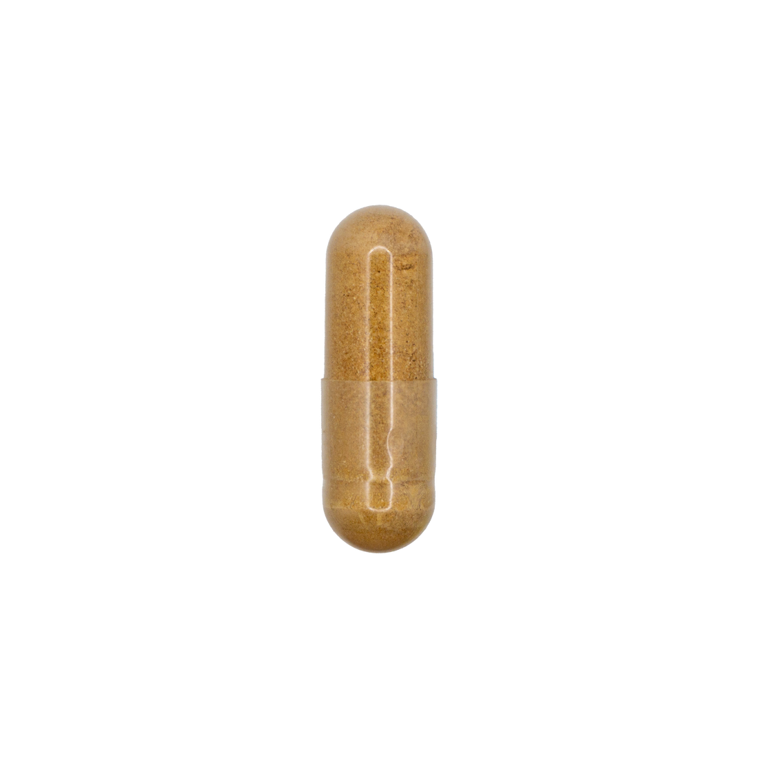 Astralagus